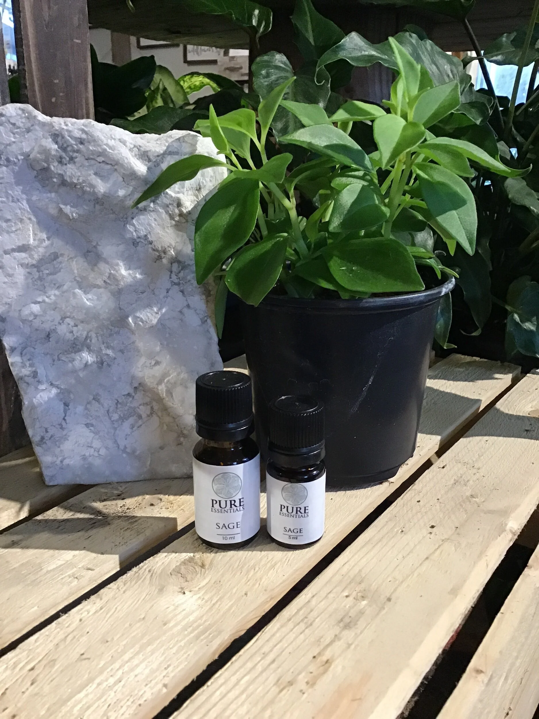 C14EE373-AB58-4EFA-8EE5-47BCCA11FFF3