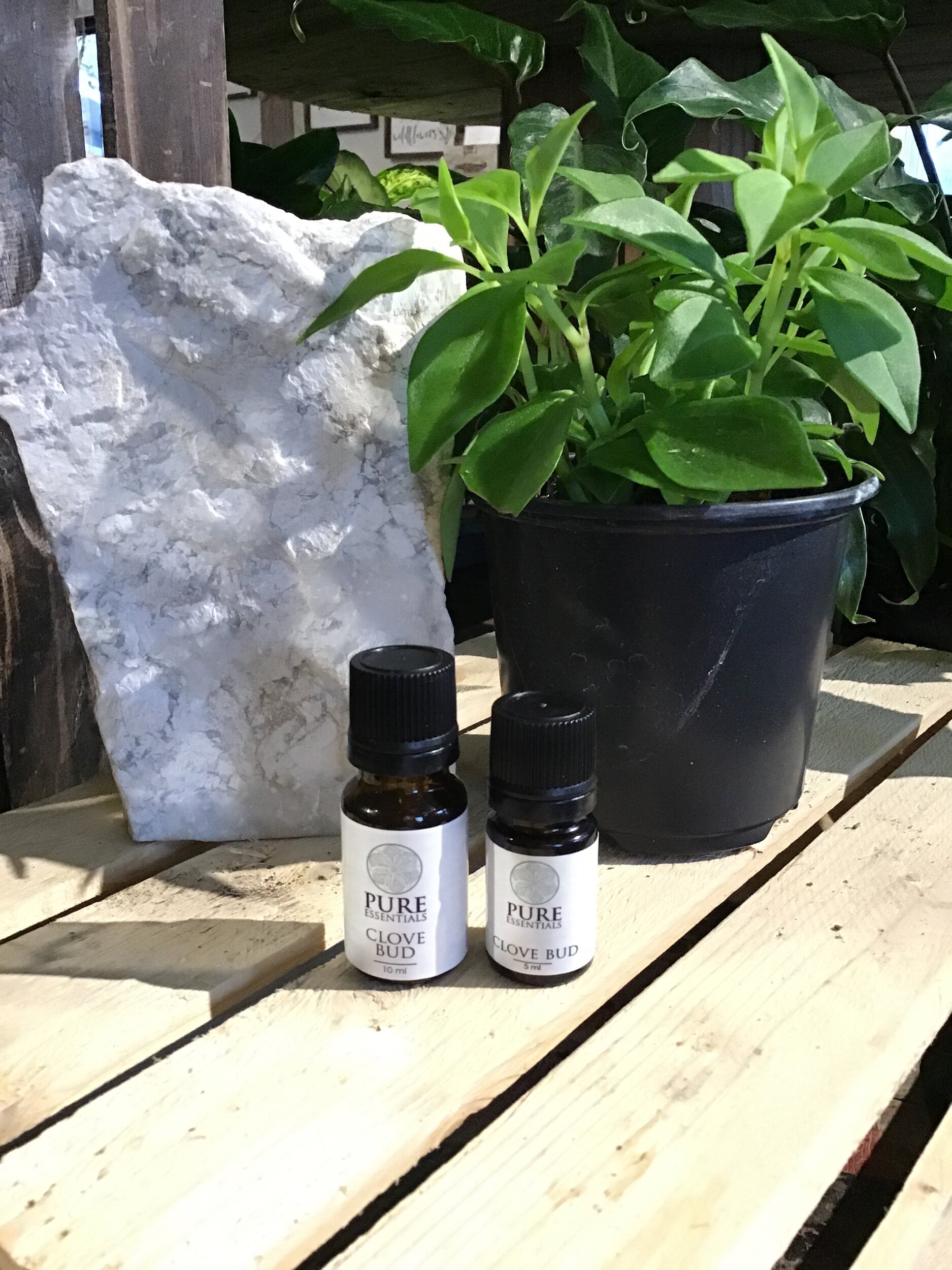 1676B0CD-12CD-4308-B2ED-D5FE95F873CC