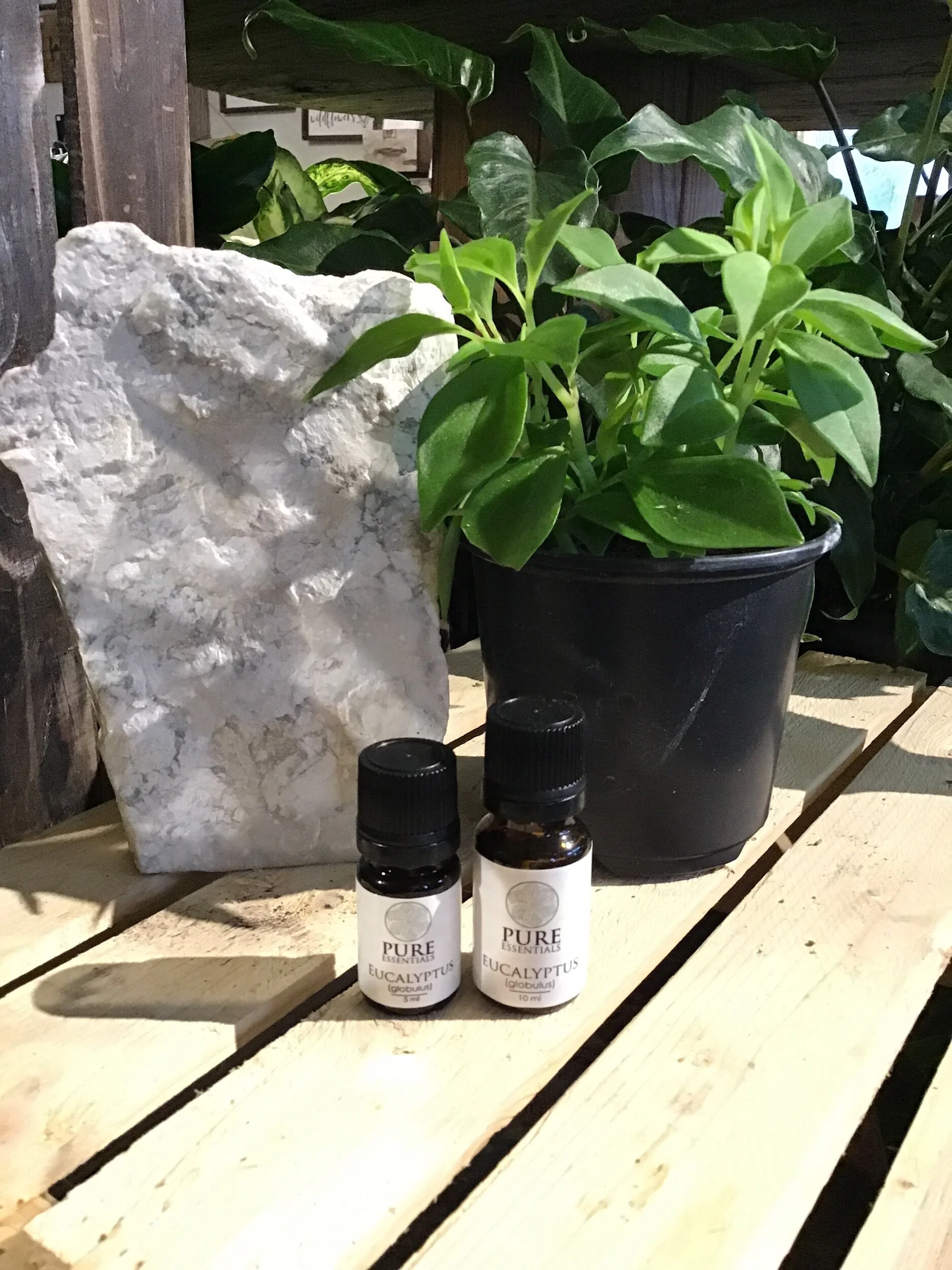 7740ABE2-3D2E-4C0E-AF93-C8C588FEDC0F