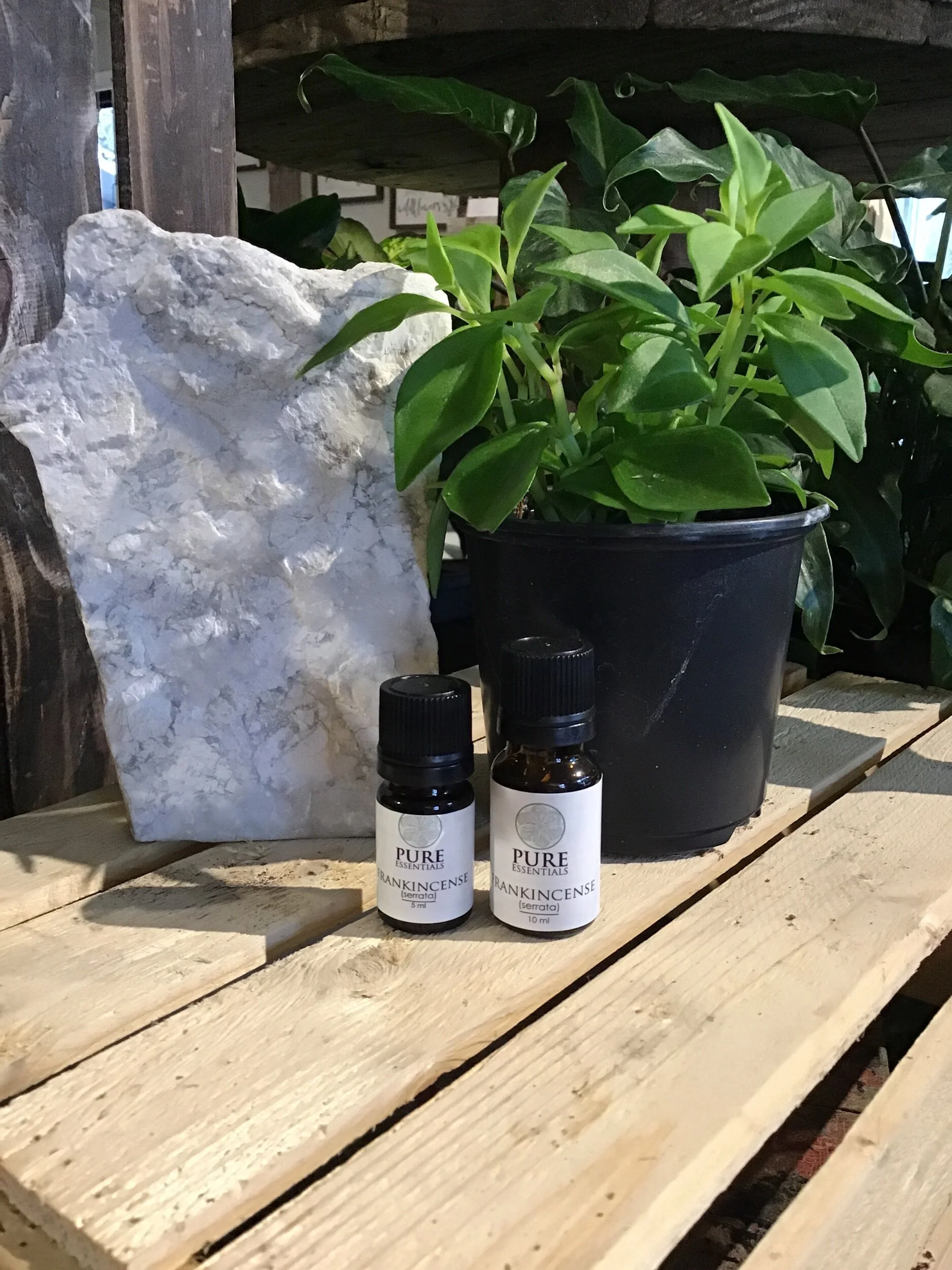 E76D9B0F-2280-4201-80B8-5A2839F8437E