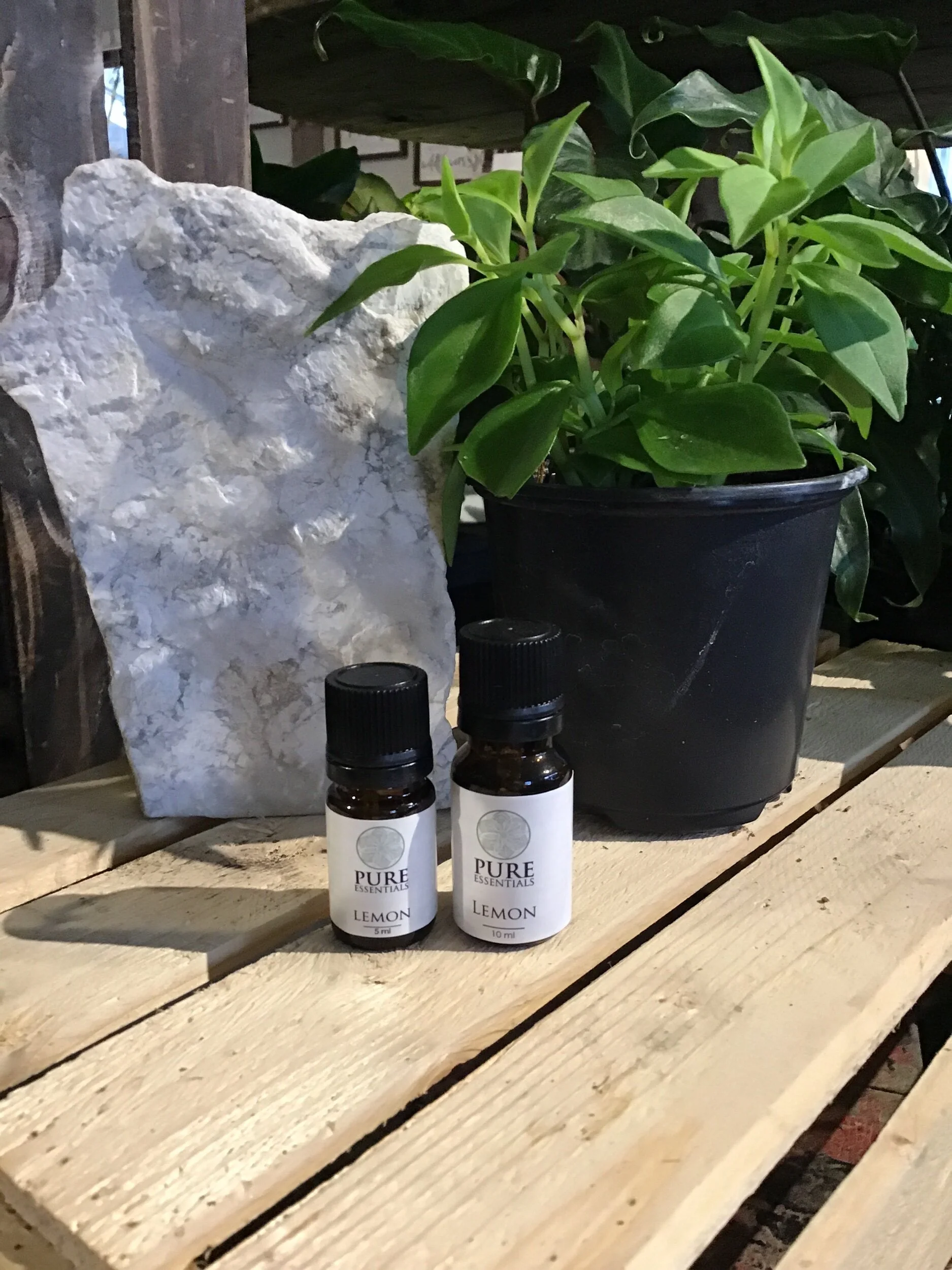 BFB22B4D-BC6C-4DA5-A2A5-96462083F208