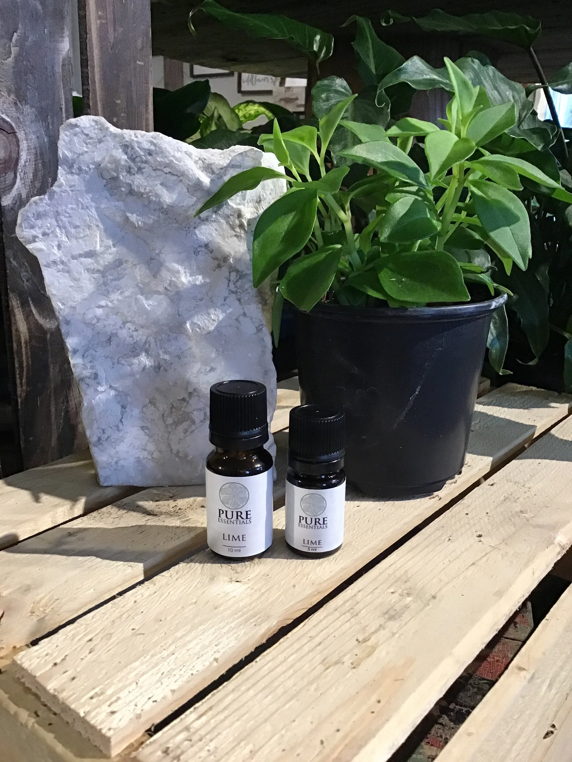 CE5F5A5A-83A9-48C7-9FE7-AEAB7870E1EB