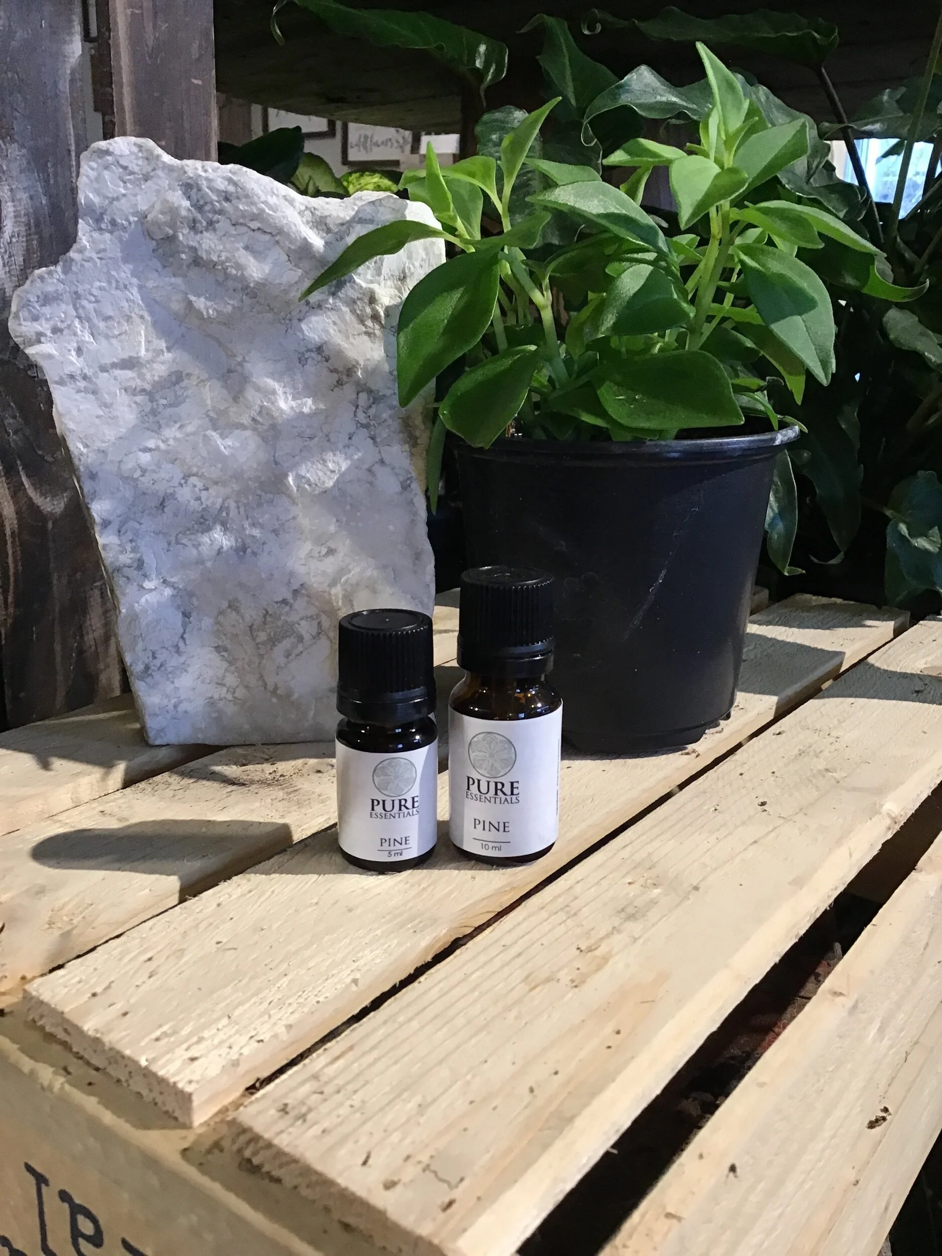 72261438-00D7-4DD1-8E15-32DED8182223