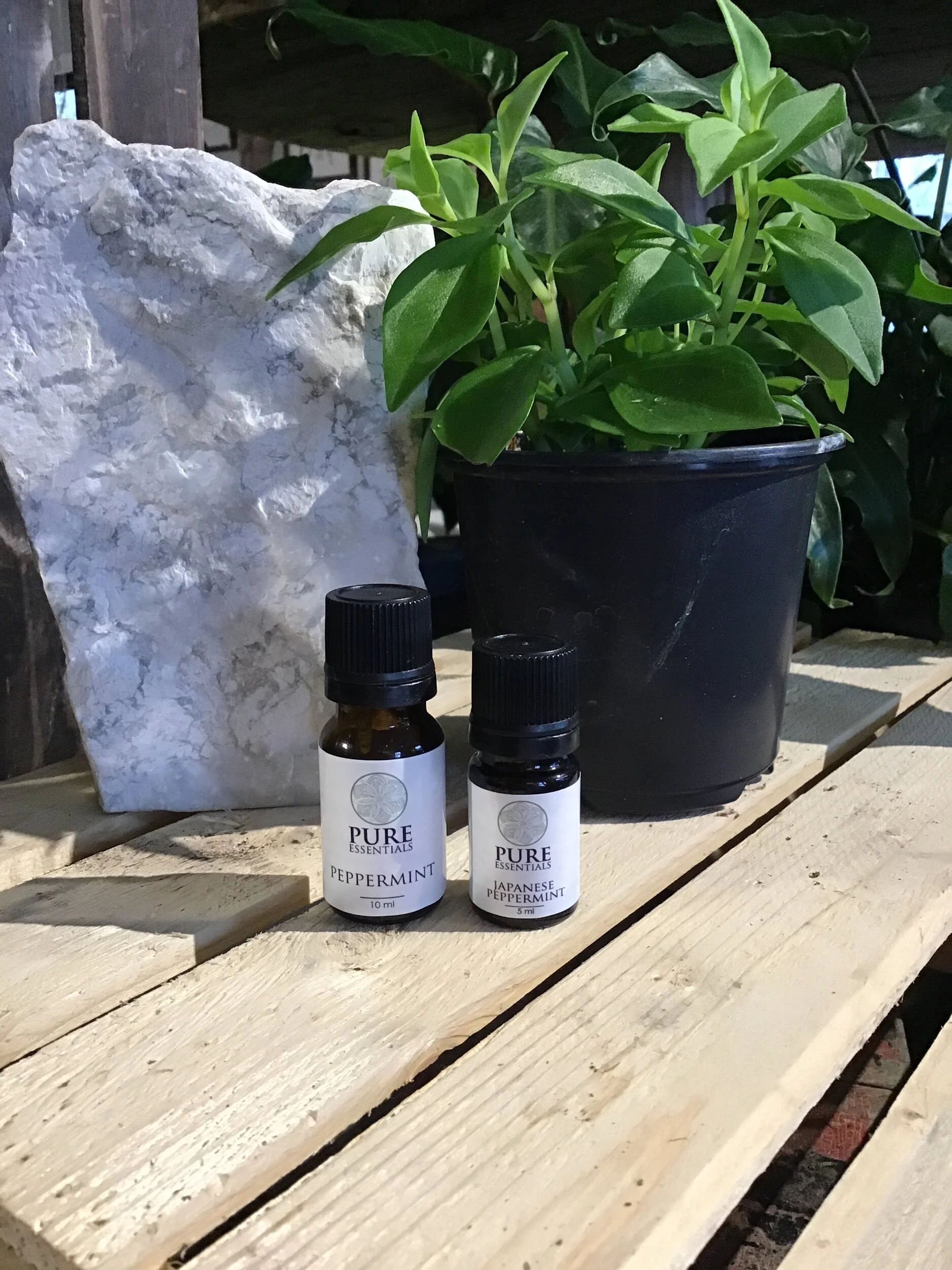 97508D2C-315C-4809-B63A-0525B728B130