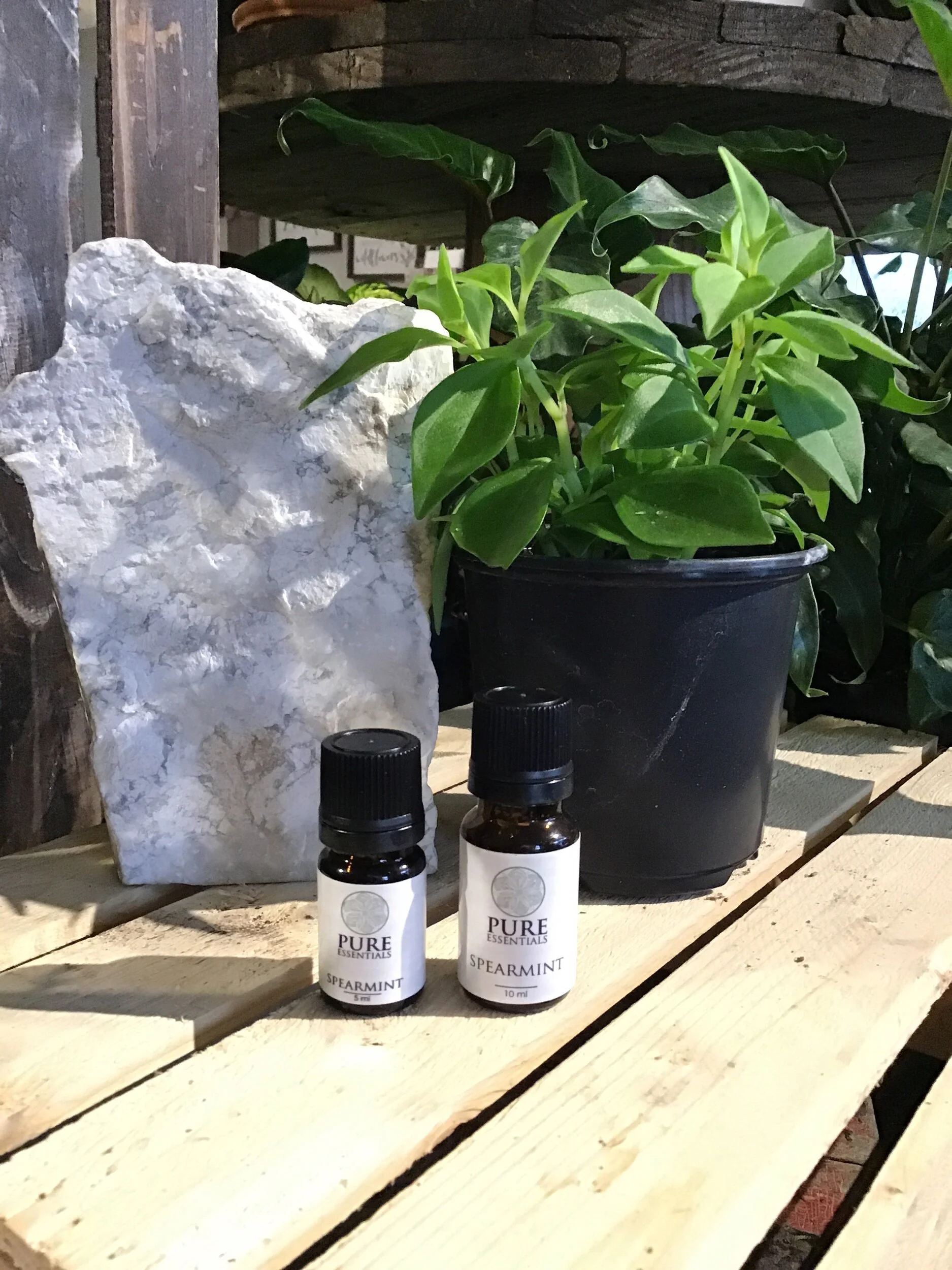 49E2D53A-9C7C-44F4-B8AA-9B2BB8A253F9