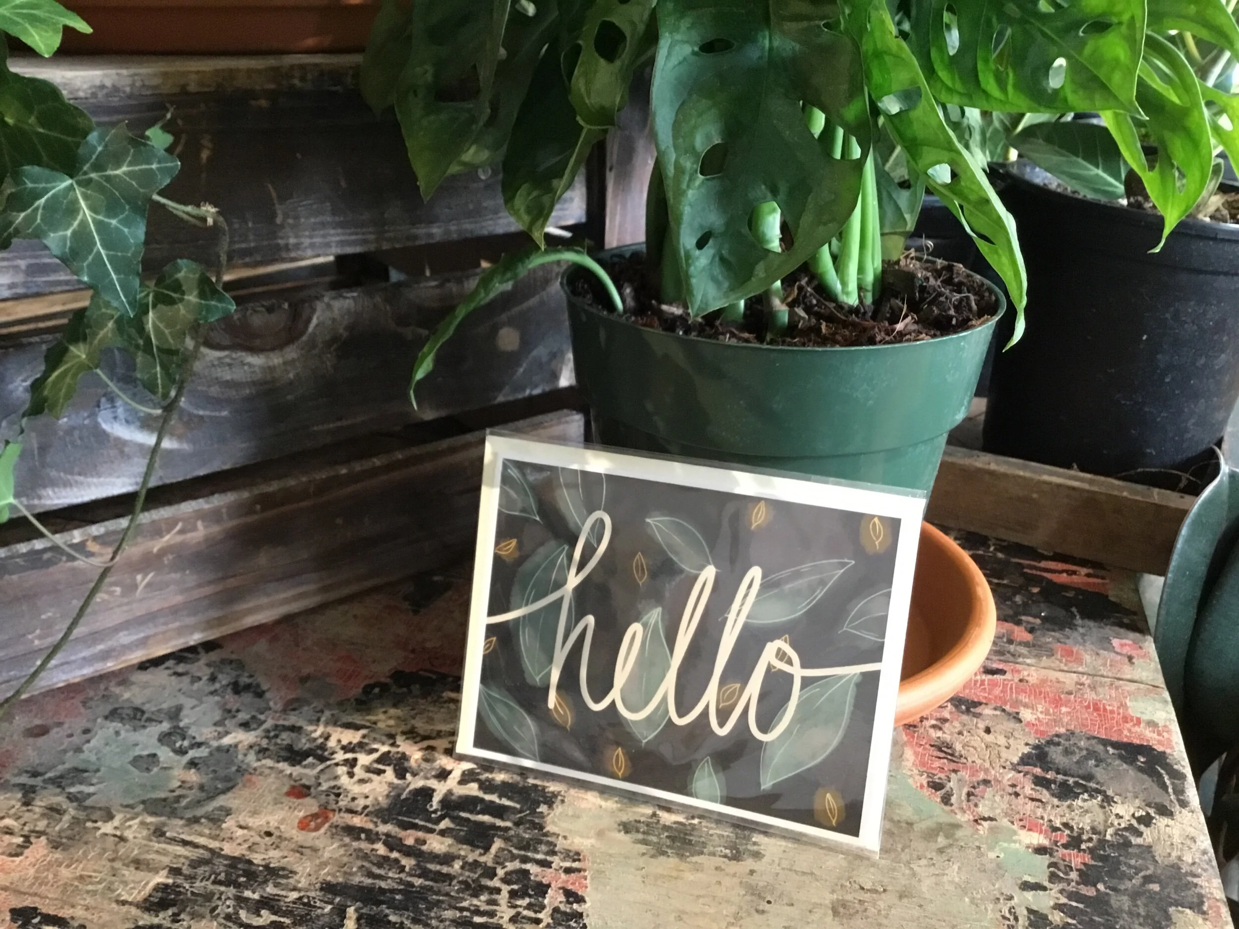 50EB36DA-7895-4C07-B30E-C405FACEAD74