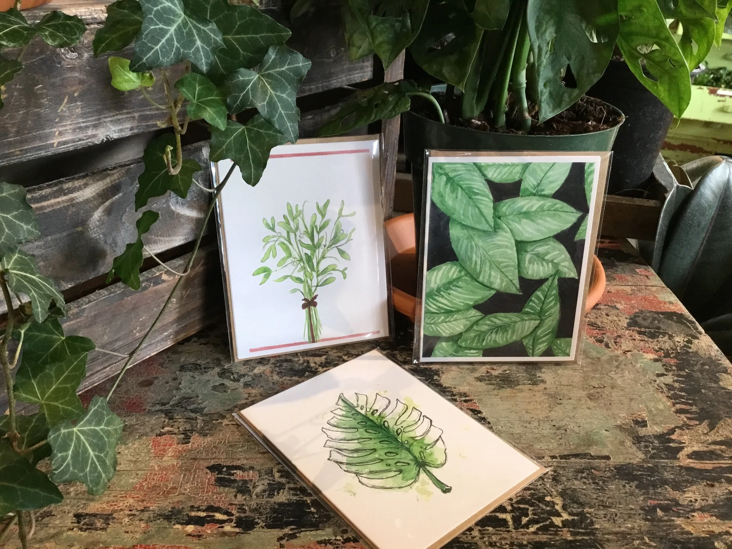 7003C101-61C8-44BA-A031-43EE68D359CB