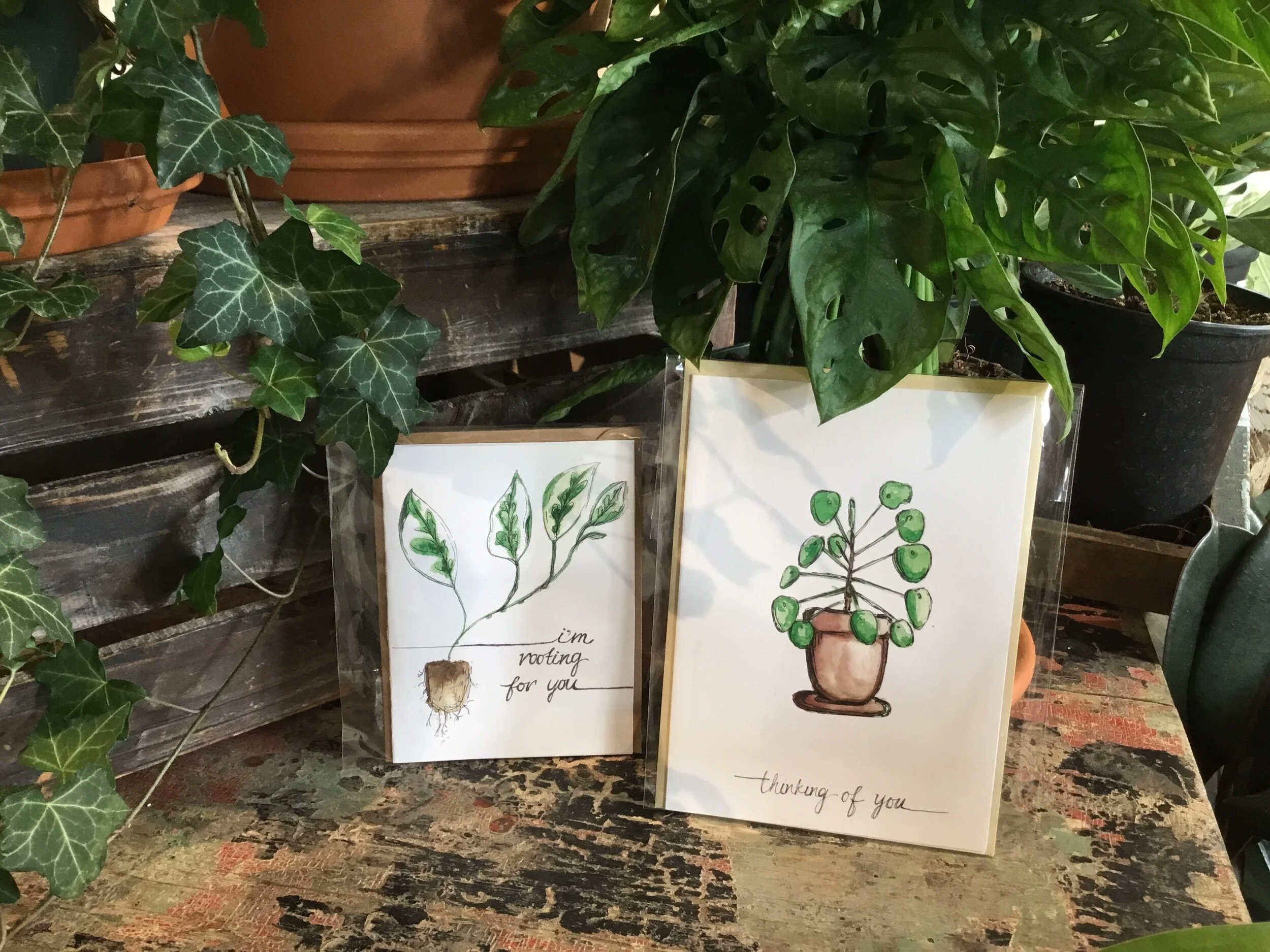 E6EC1CB5-9537-4AB2-87A4-3B06DC5DE86D