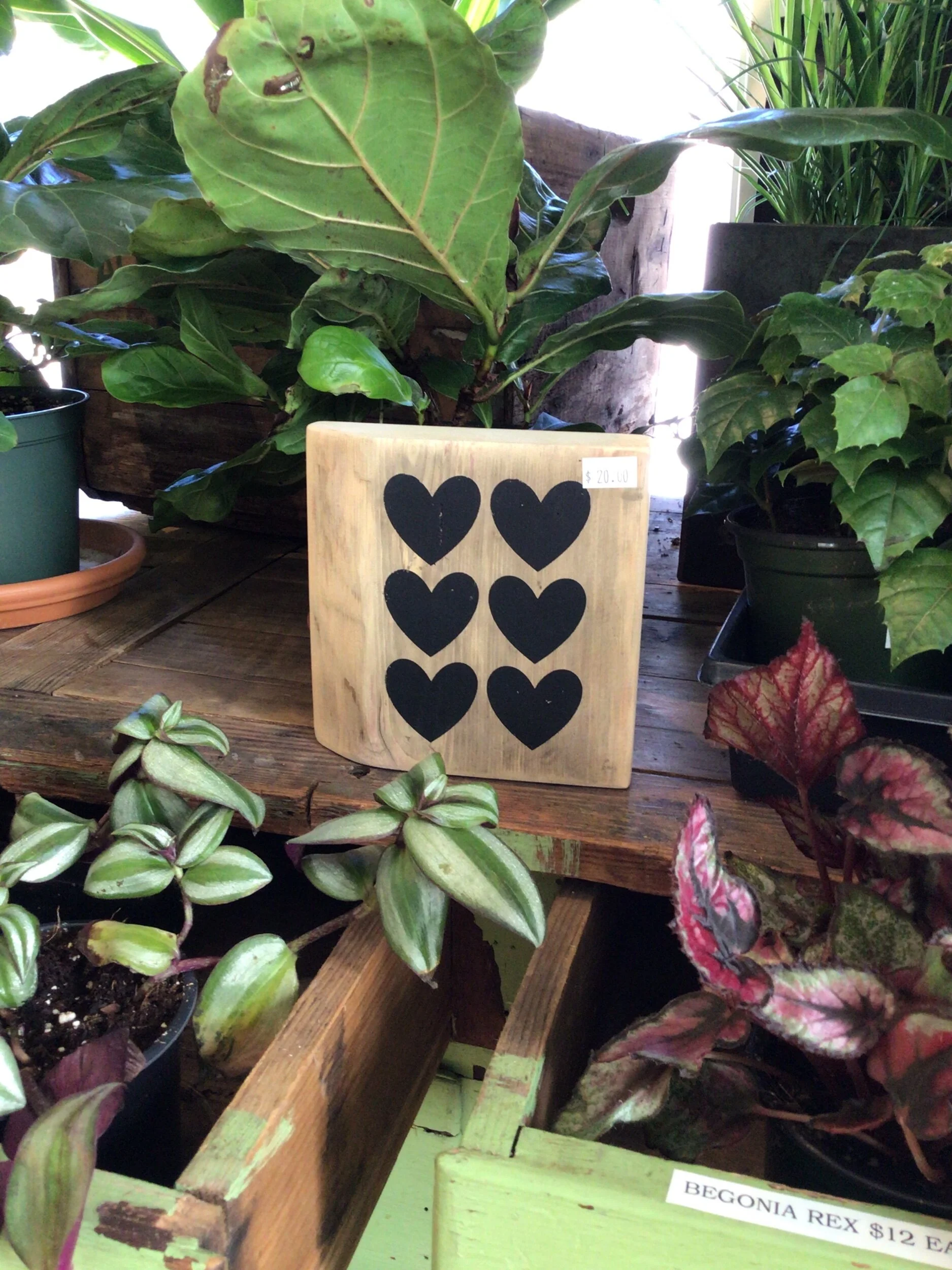 92EE798A-3B18-4BAB-A69C-879B0BE64216