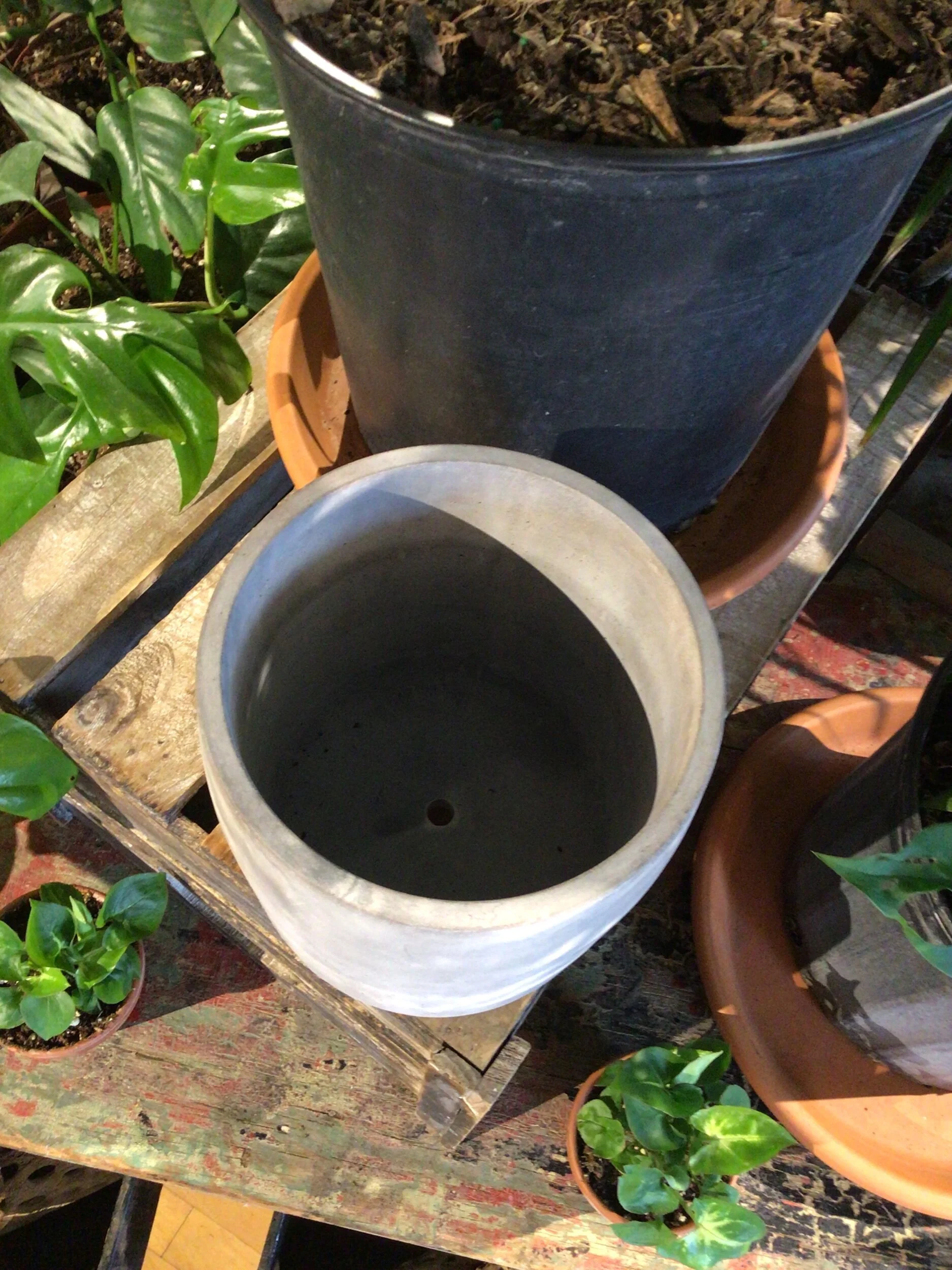 EC22E485-E6F1-42C4-82CF-625BD372E115