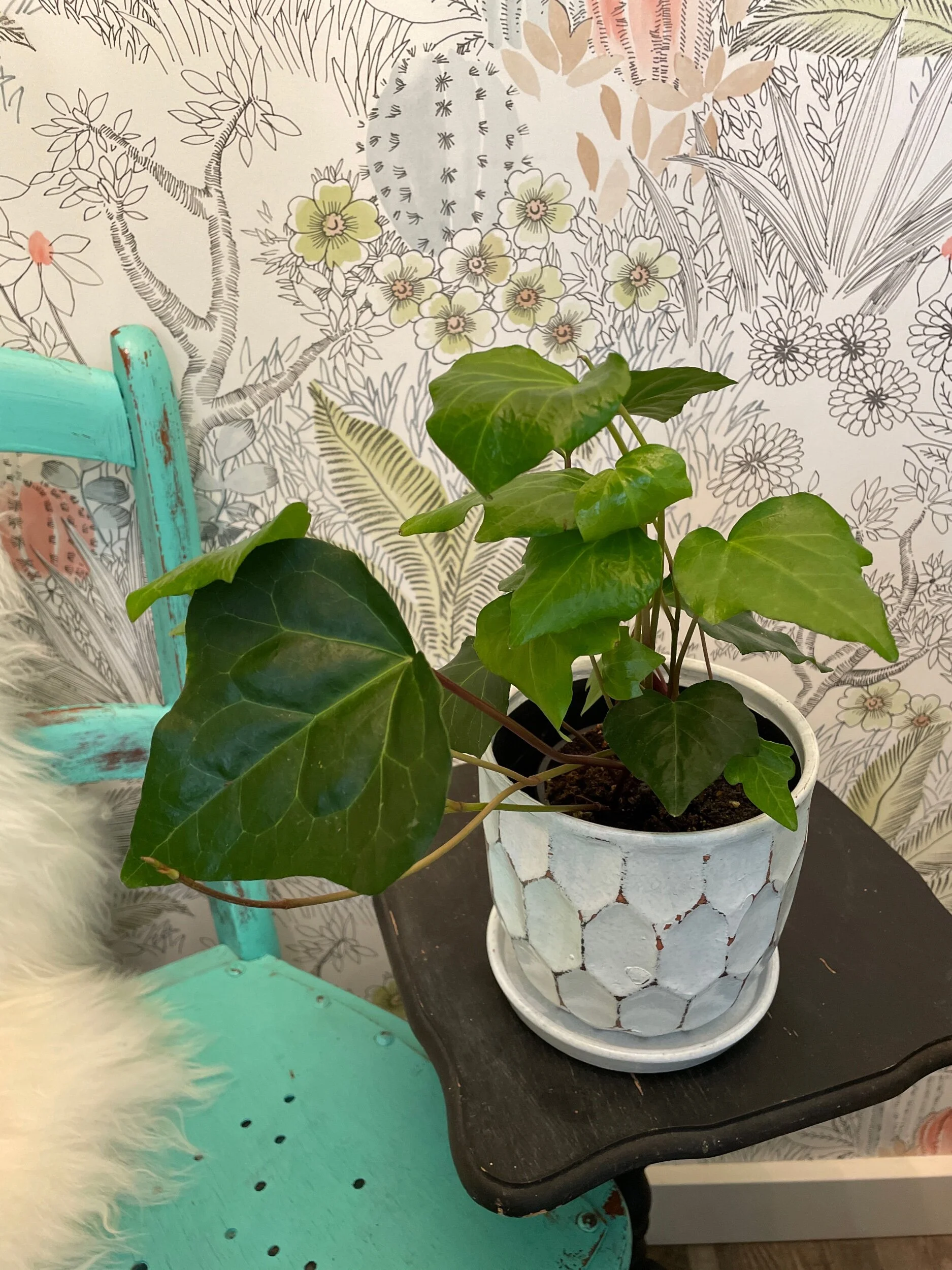 D02F87C6-01EE-4C0D-8640-F023EE311E6E