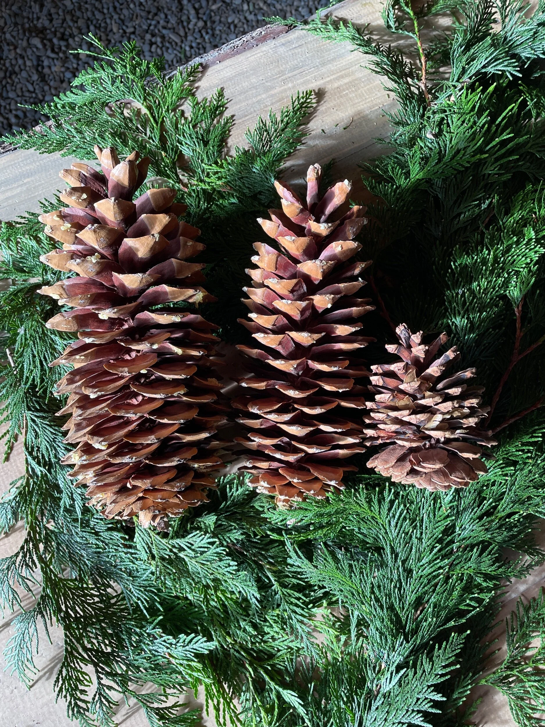 73B8B198-5CF7-4C94-AF1F-8E9CF51E5993