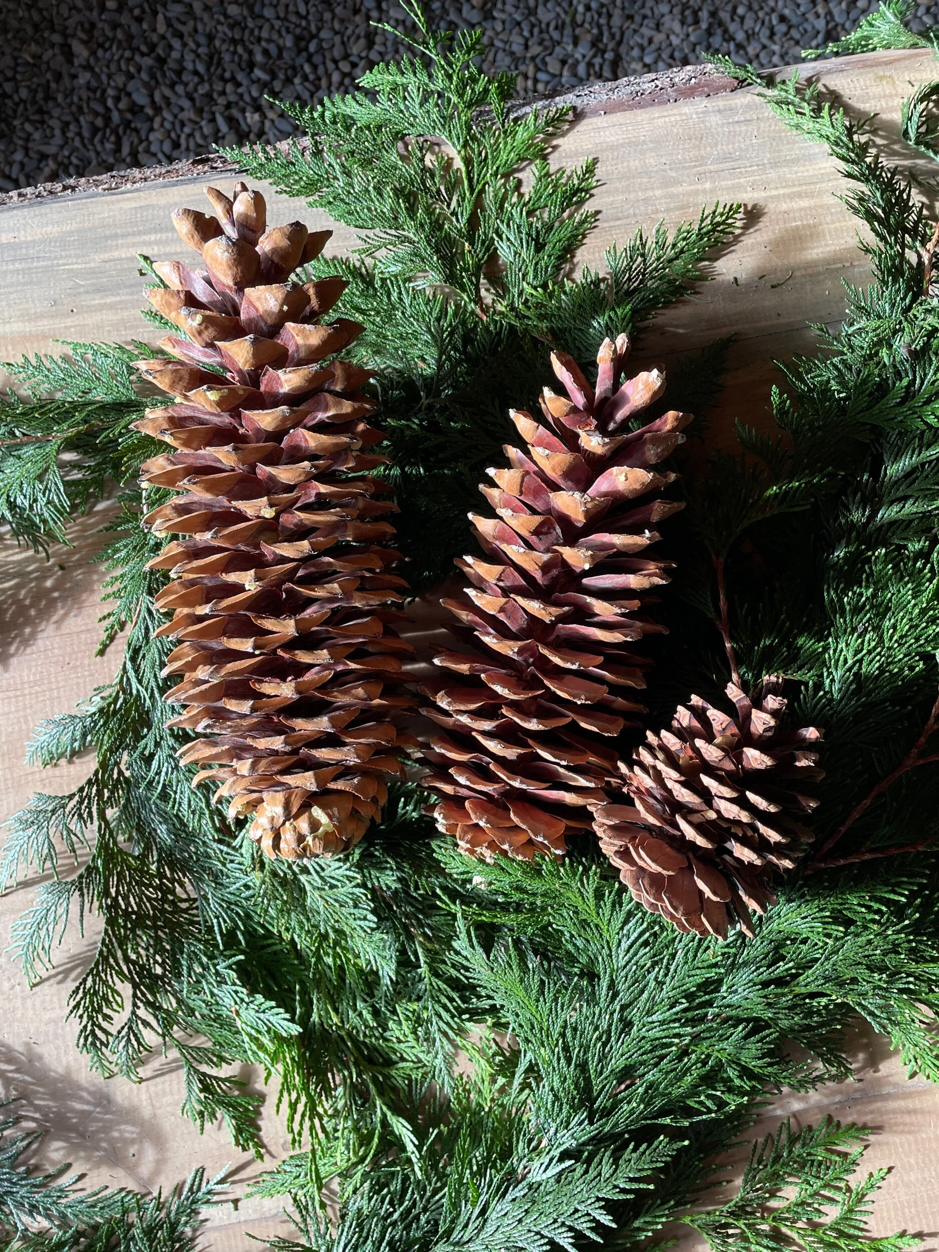 050514DA-4855-4E28-B8C8-0C132F651EE3