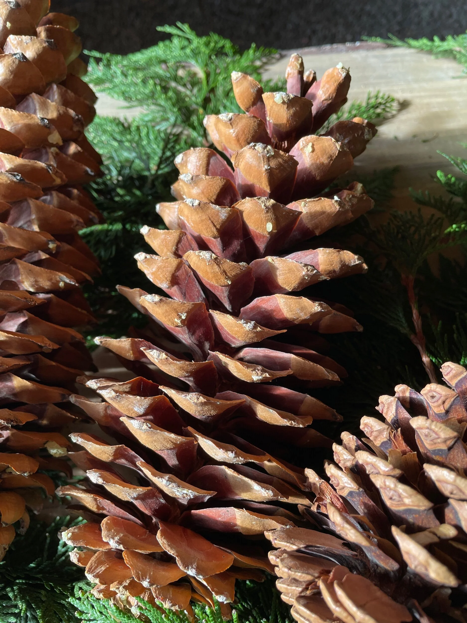 CA3050DB-F0D5-4231-98A7-22515A7324AA