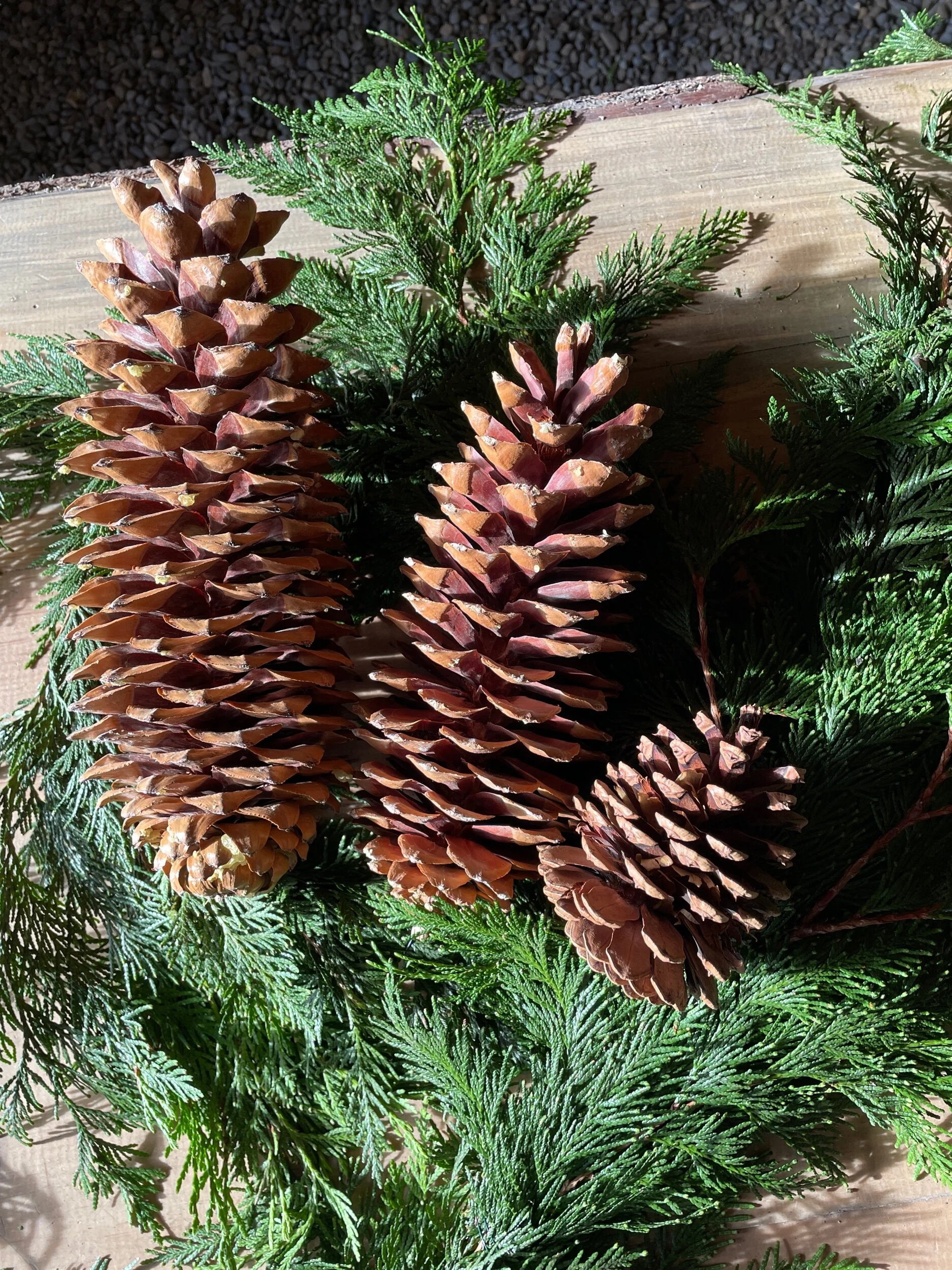 589402D0-9133-4CAA-B256-12310AFBB6B0