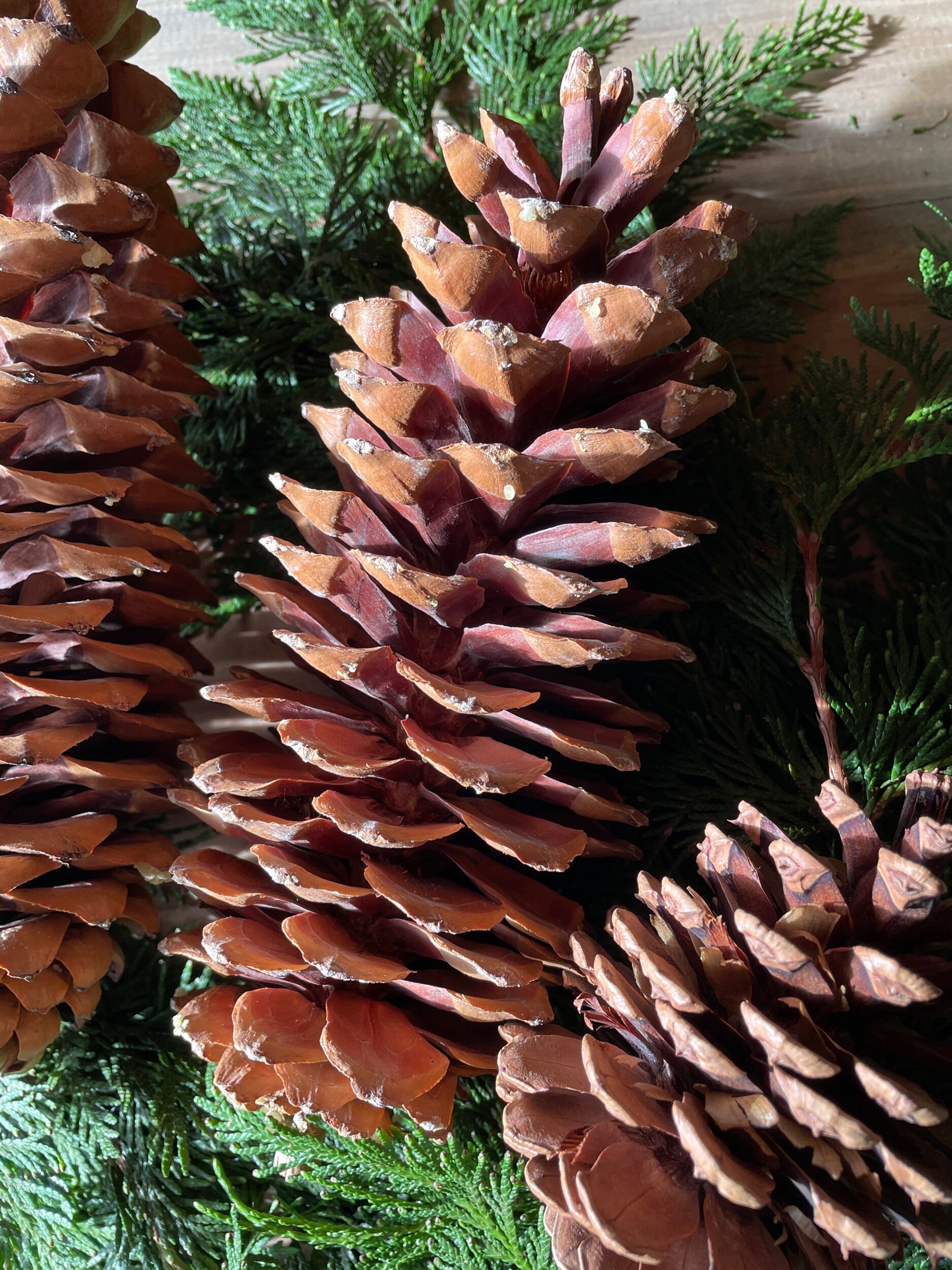 7B380D65-9D45-44AC-AFCB-7BD93DA661A5