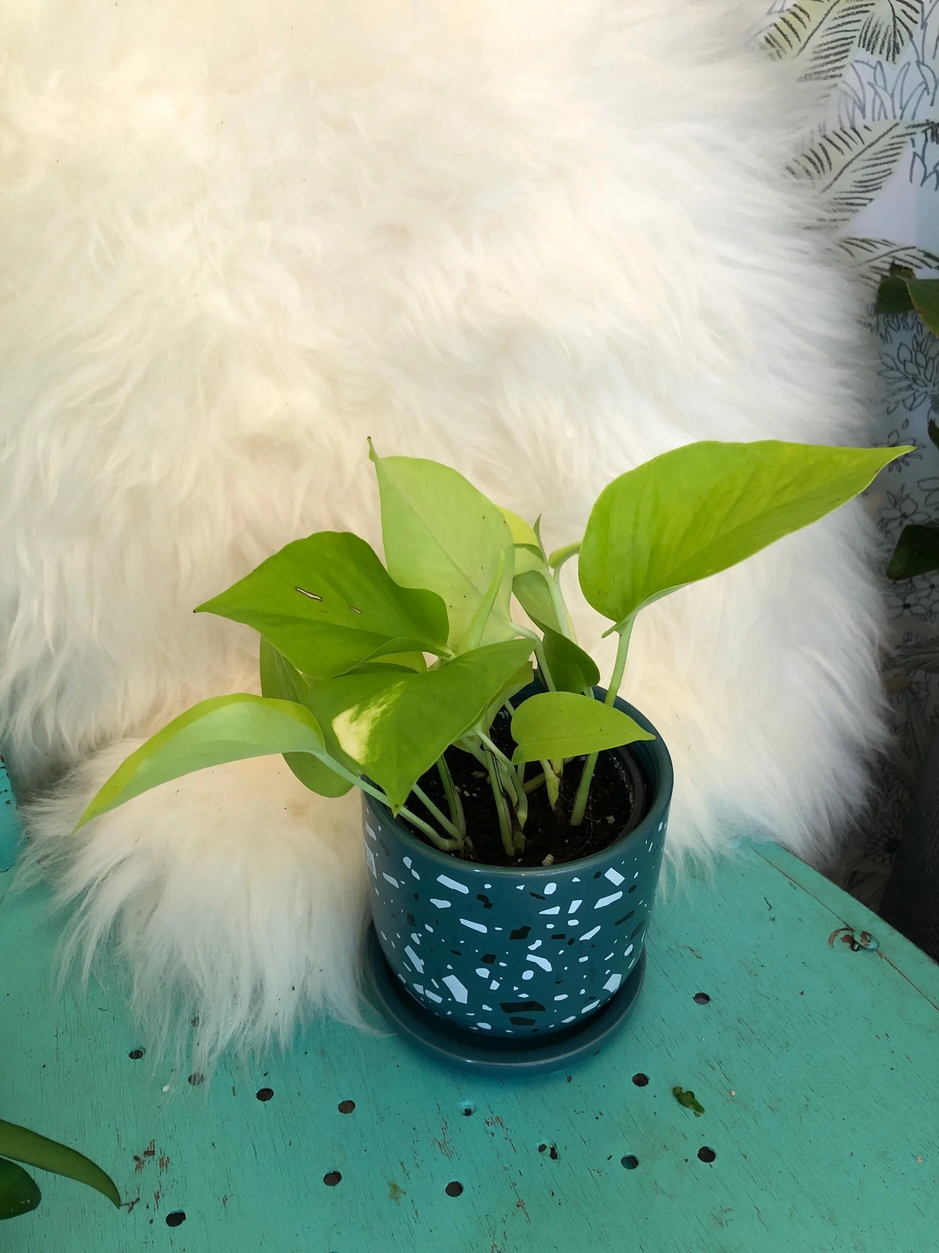 EC851AF4-C214-40B0-9B90-157DA8420821