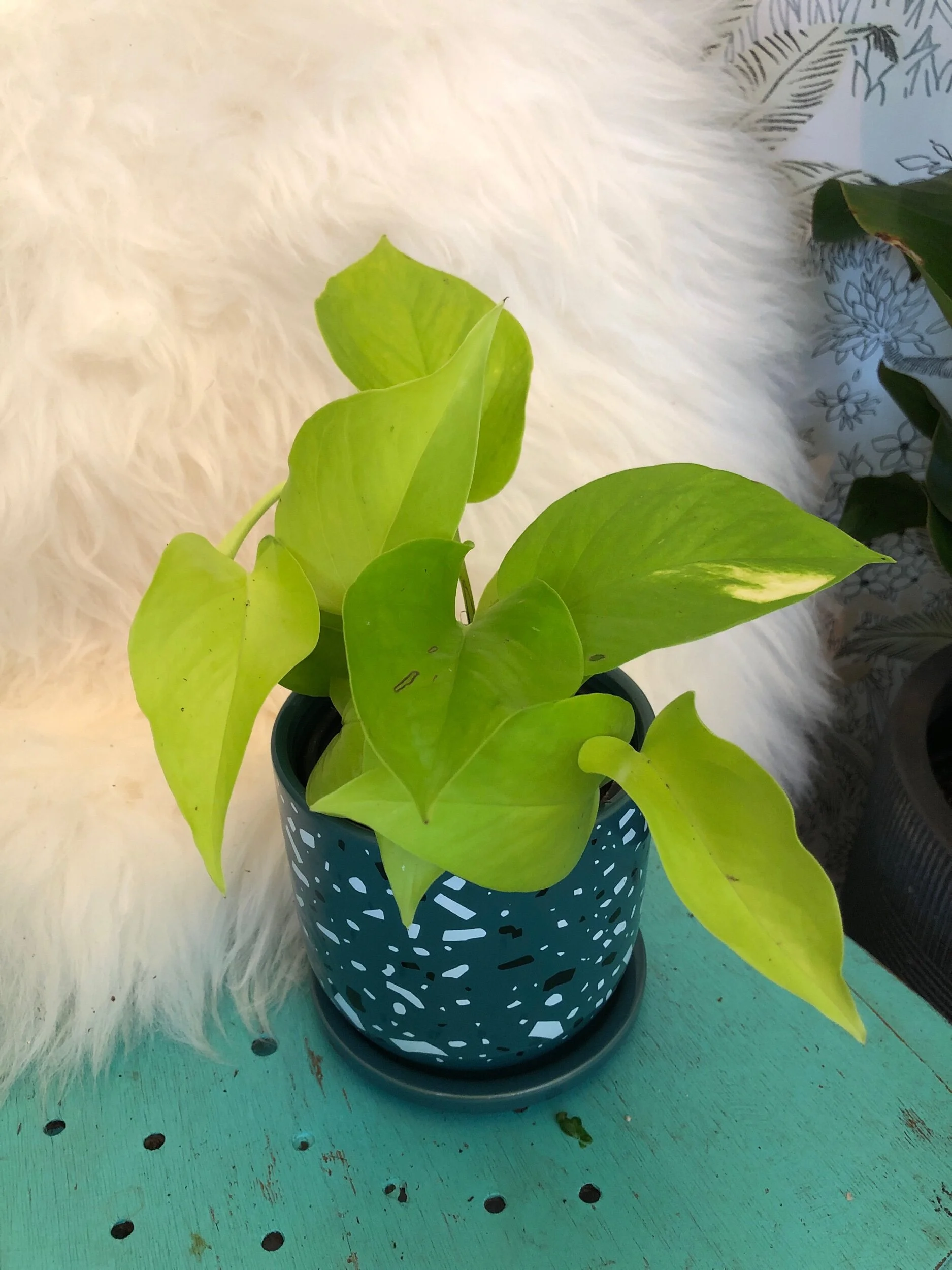 F610566D-A585-43F2-AE4C-4BB5A1B57B7E