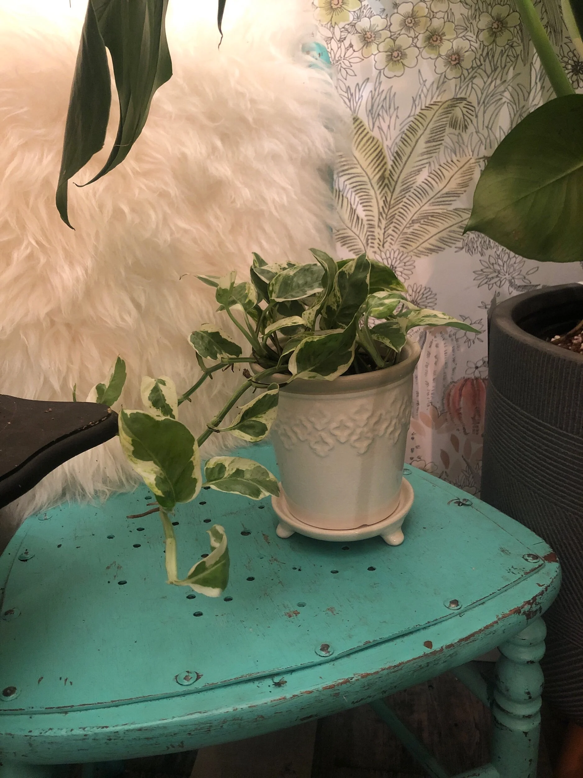 389B2992-B818-4142-B243-0E45A67C15C3