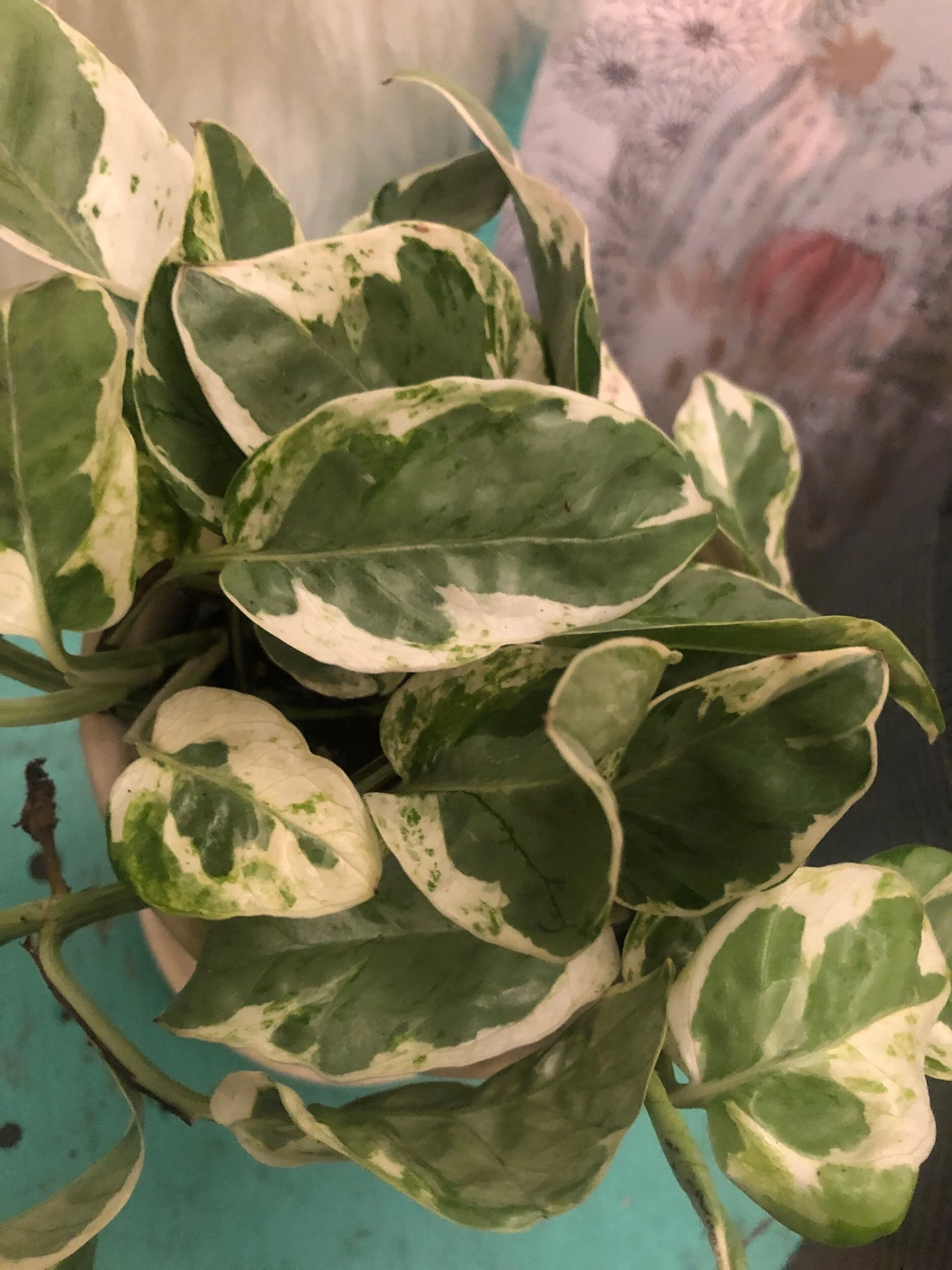 9A8FE26E-06BB-463F-9D97-8A3C0BD6A8FB