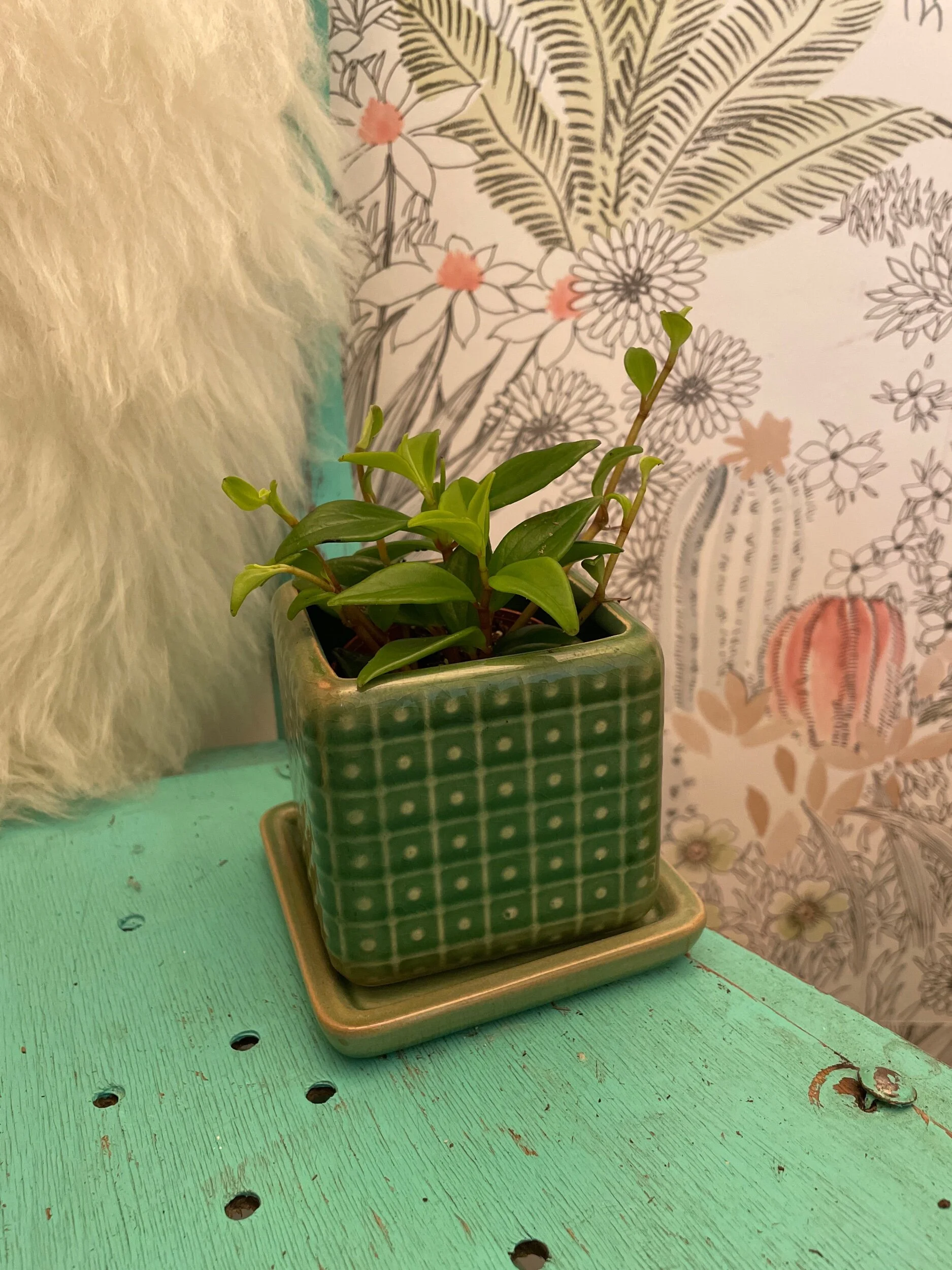 F76EDF7E-BAA3-4737-A699-0BBB4360141F