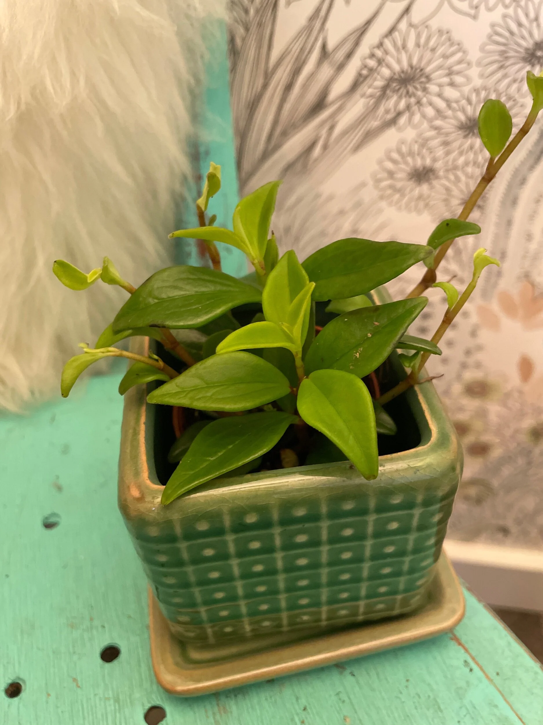 BD78C708-8034-4FEC-BEBE-374B8DF908AC