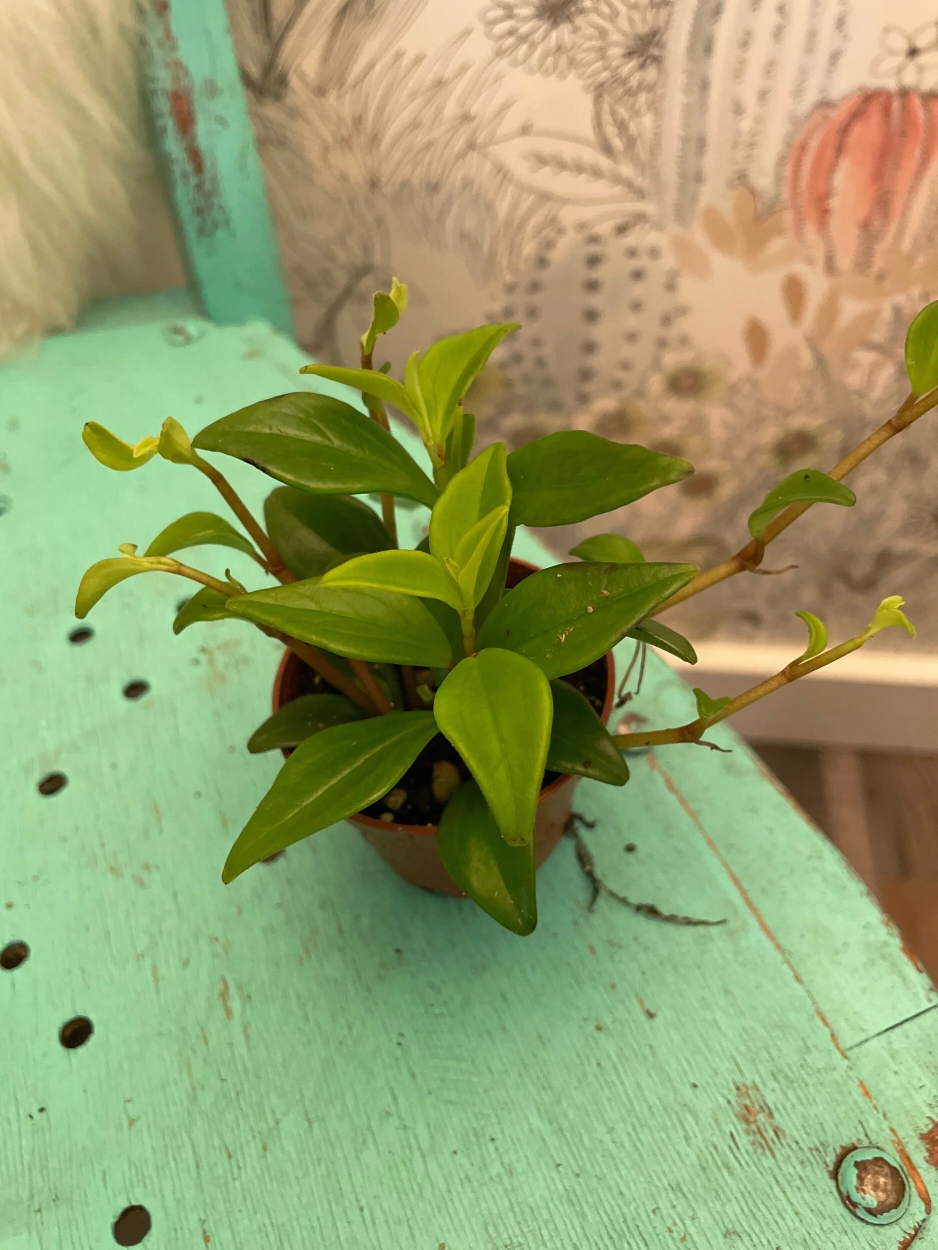 DC6B7D9C-AC25-4CDD-B05E-FA7984E29AEF