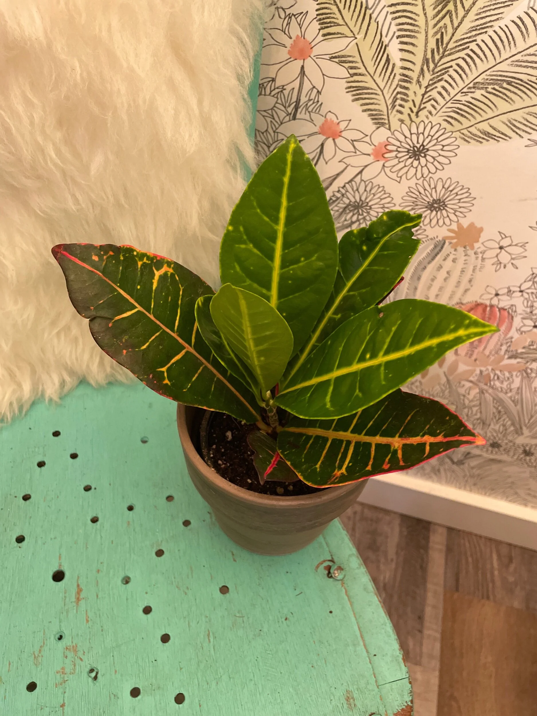 3DC74025-A917-4502-A9A3-CD006C8986D4