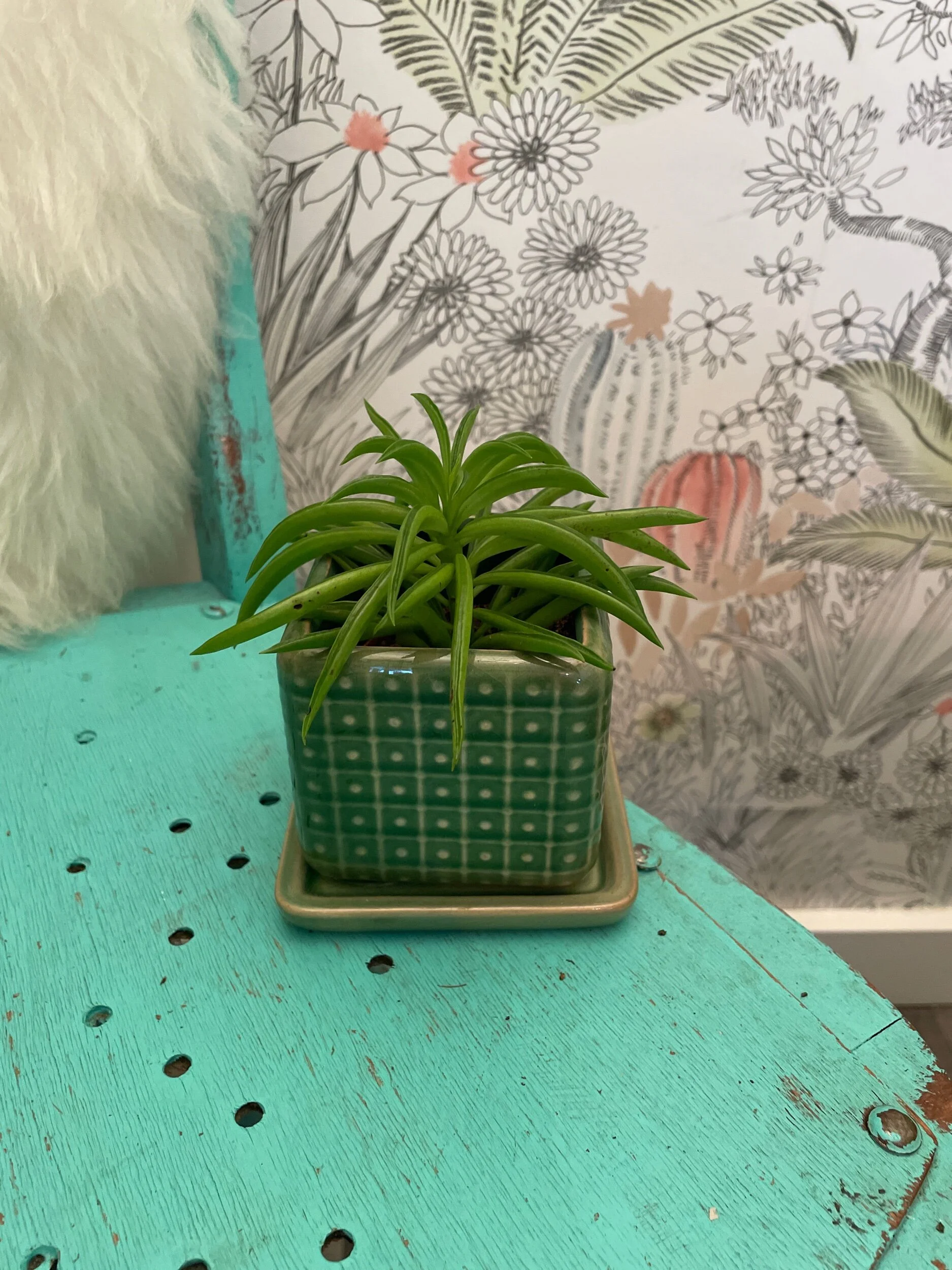 E3F3087A-D7BD-49F0-AE34-7D0964C4BF6D