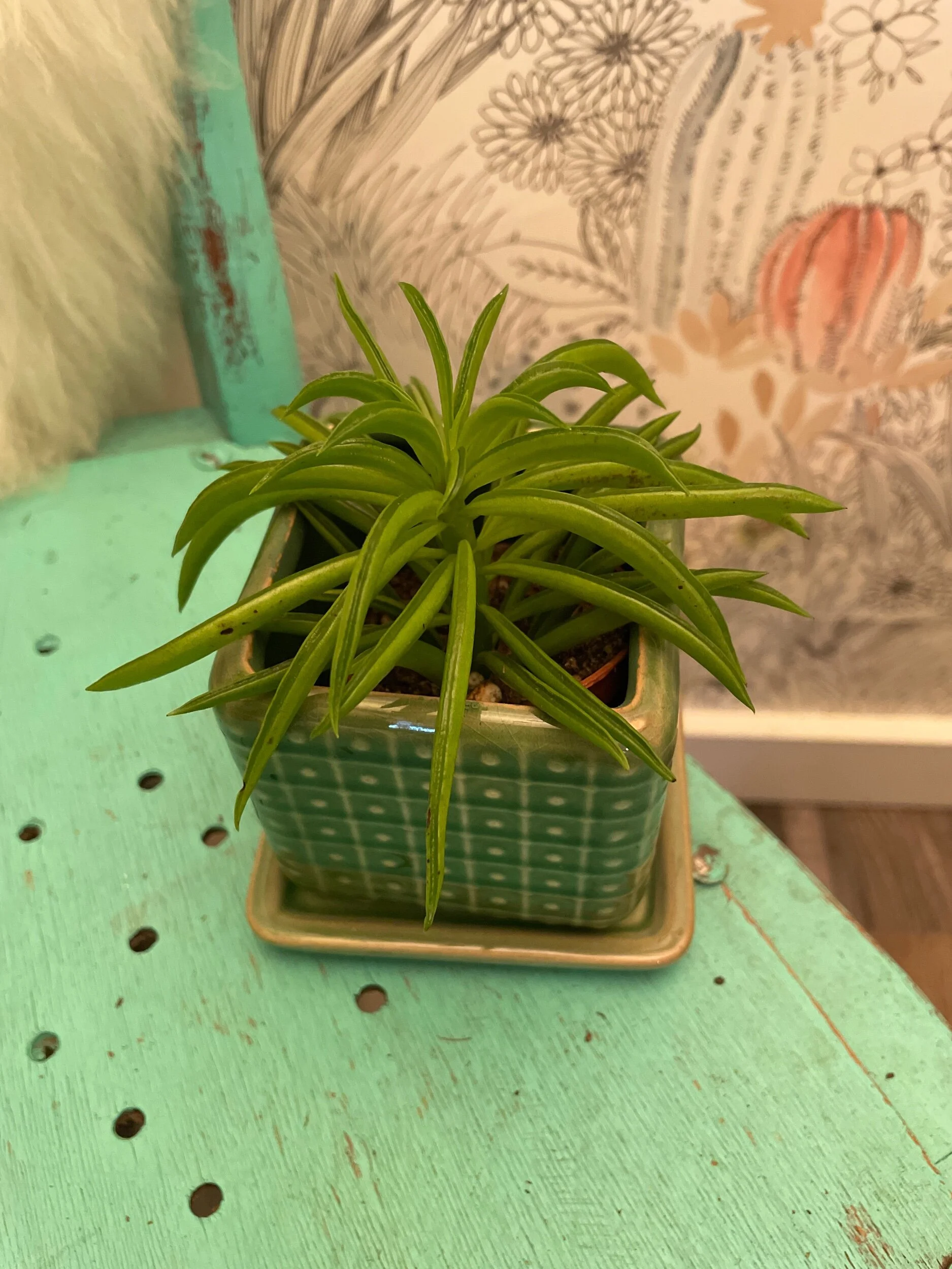 AD719ABB-1EA5-4880-85AA-A31AAEA204EA