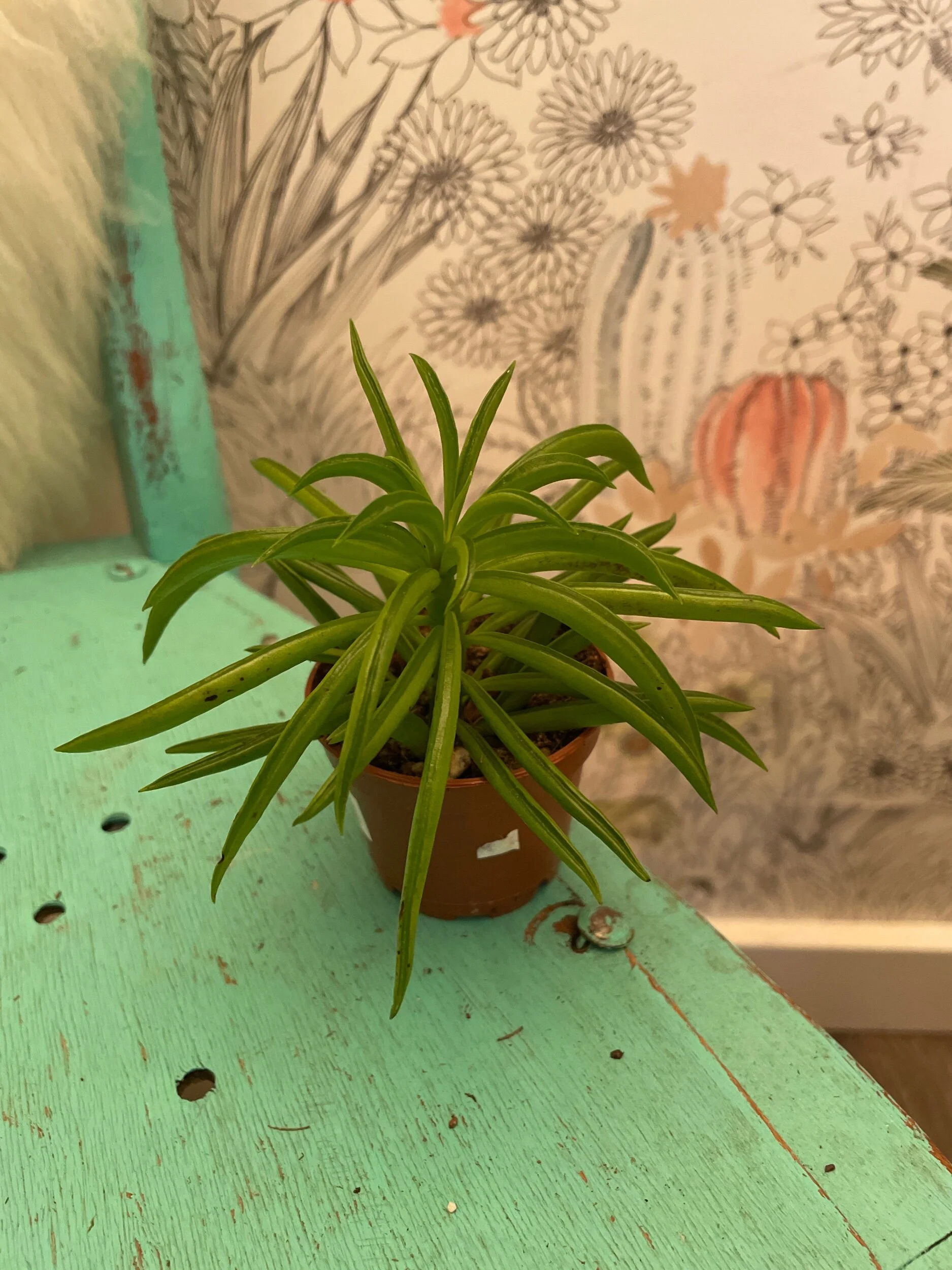 91CBD067-9E18-45B1-83A7-97BCD7E26D44