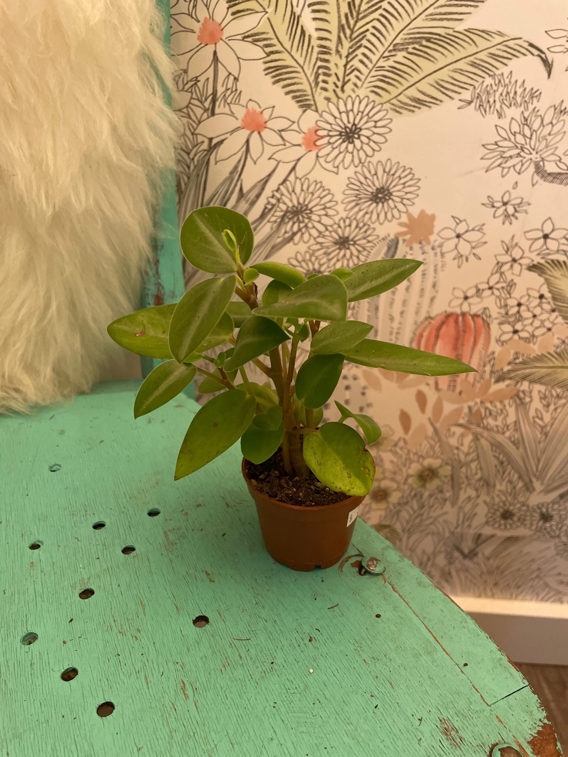 9F16FA6F-39AC-4173-8223-9B4C38D1D58A