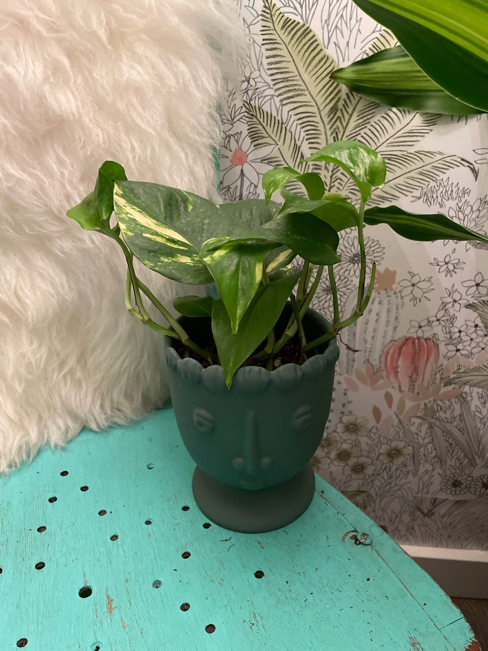 B992DA85-3234-4B8C-AB53-AF19D17B0C2C