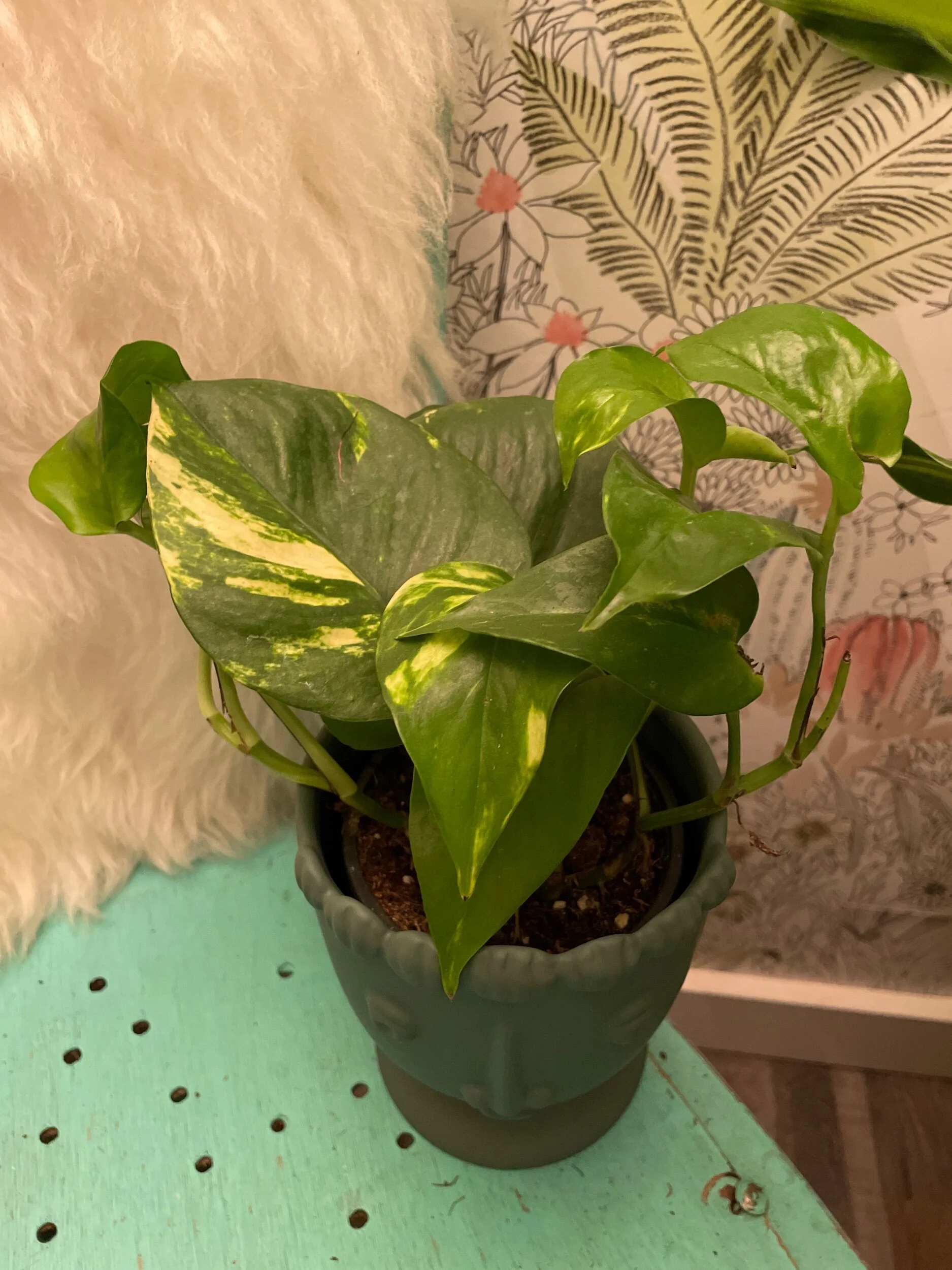 31623477-4ADF-4F8D-B322-C9983A25612A