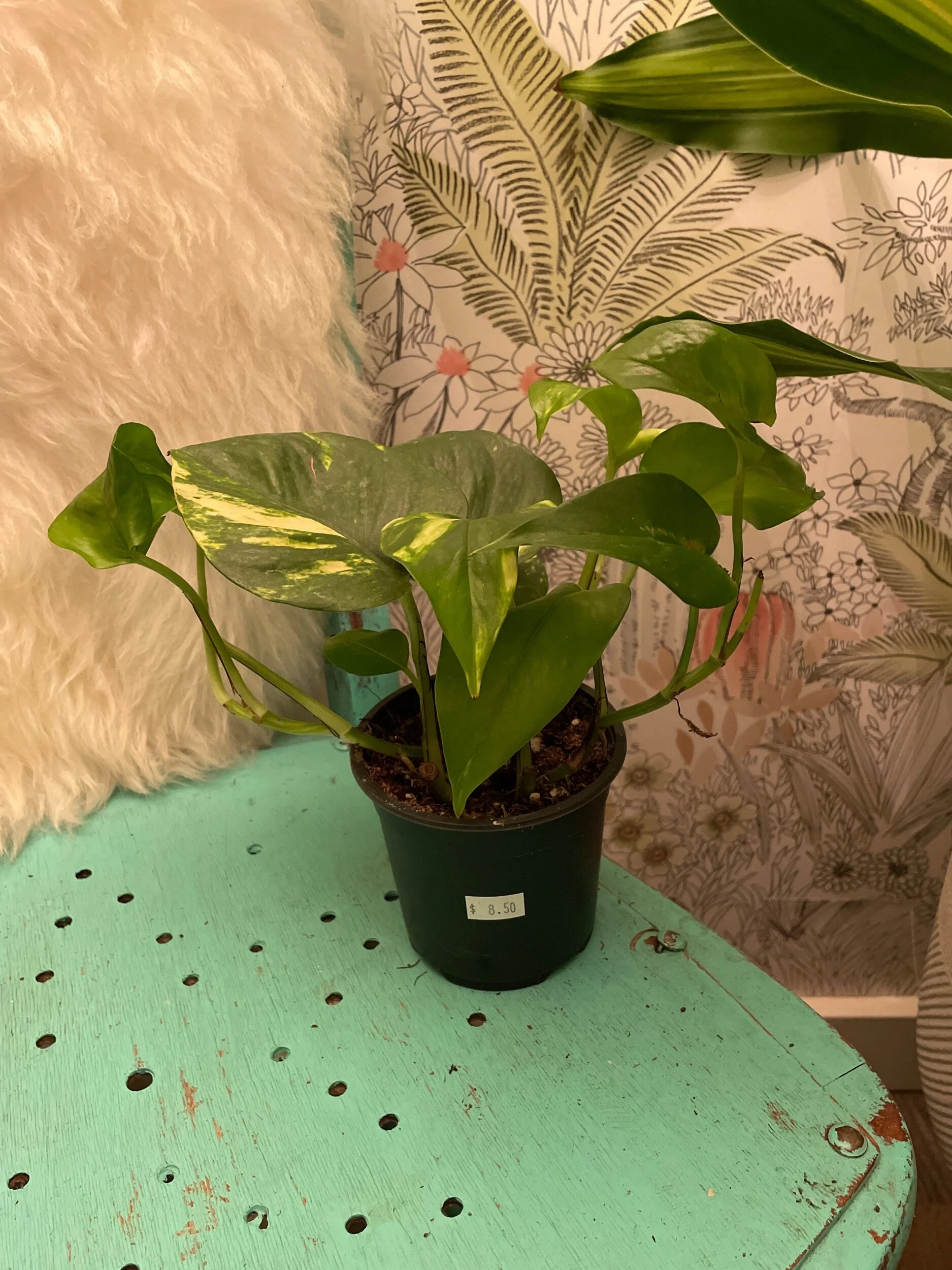 3C8B0A4F-25BB-460A-8935-7263FB92528C