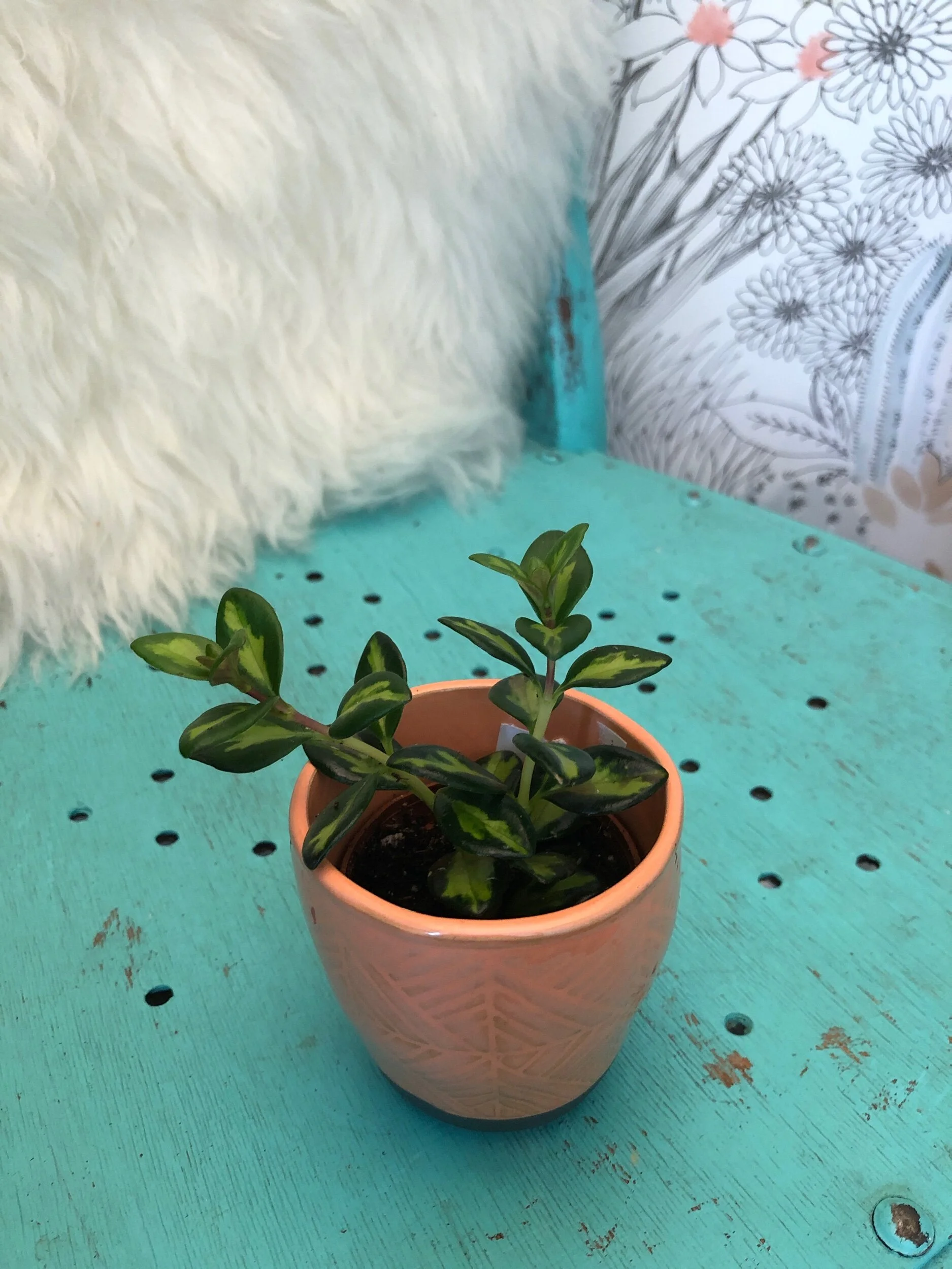 F8BA4724-E43F-49C8-B817-F8874817B186