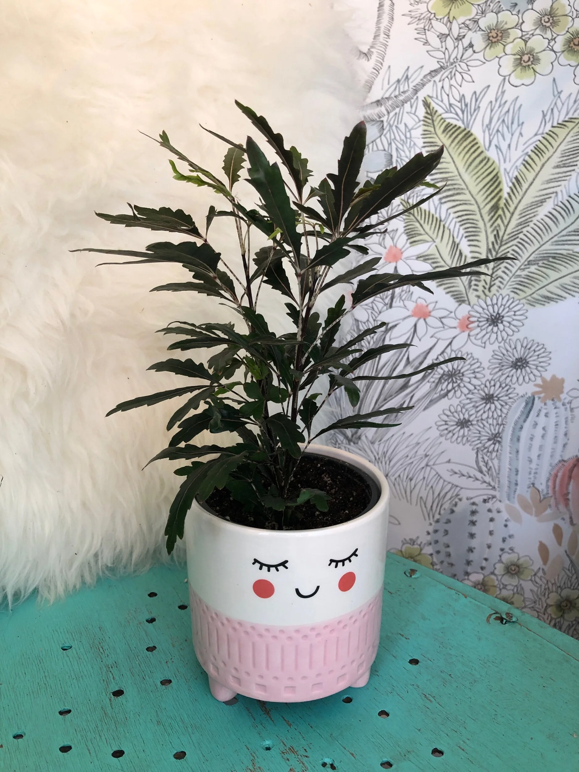 28A8504C-C16E-4A4B-B265-DD8022BFFA31