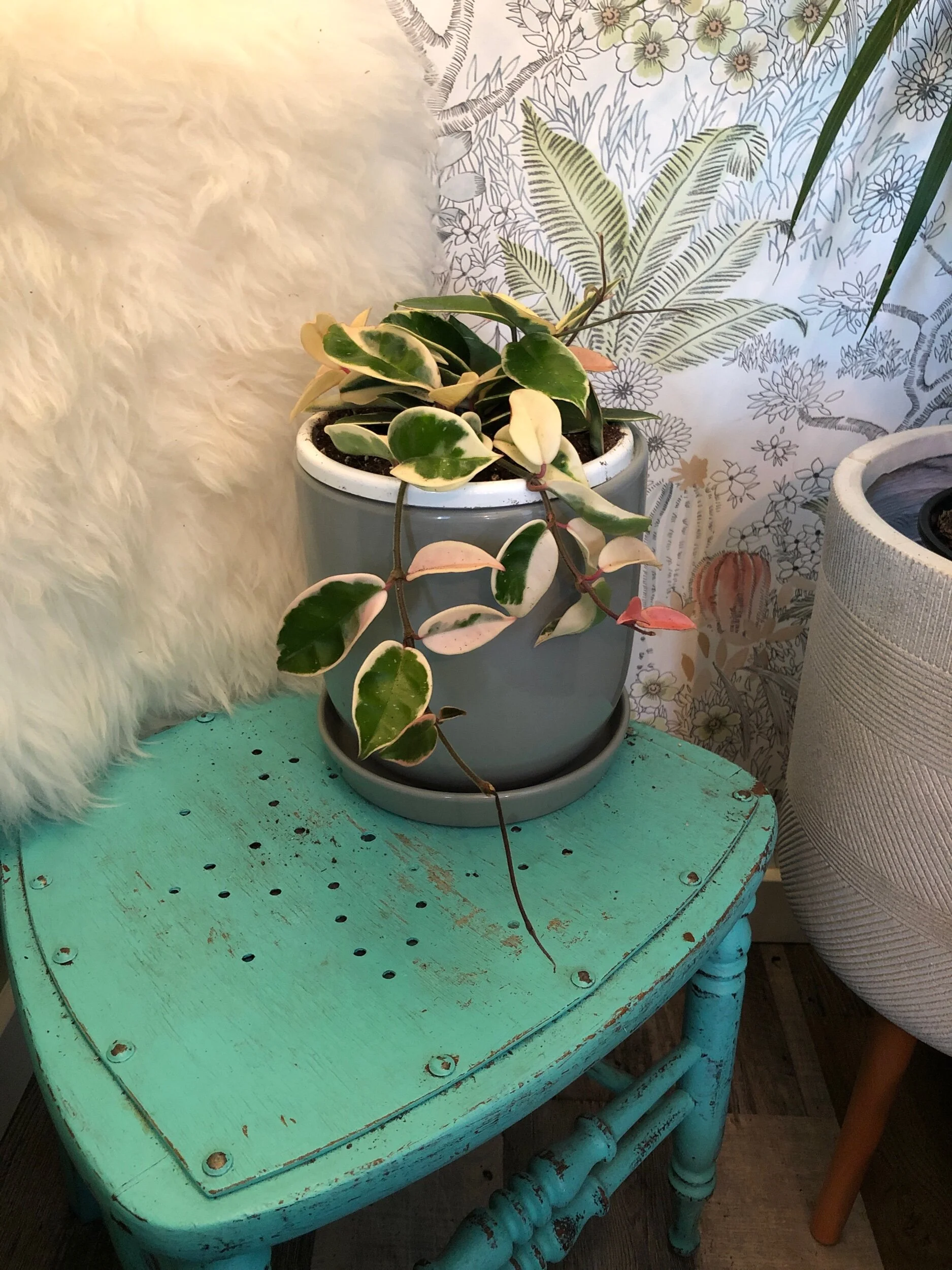 69CE4E08-AB5A-4AAD-8661-D2B3D1BD8C0F