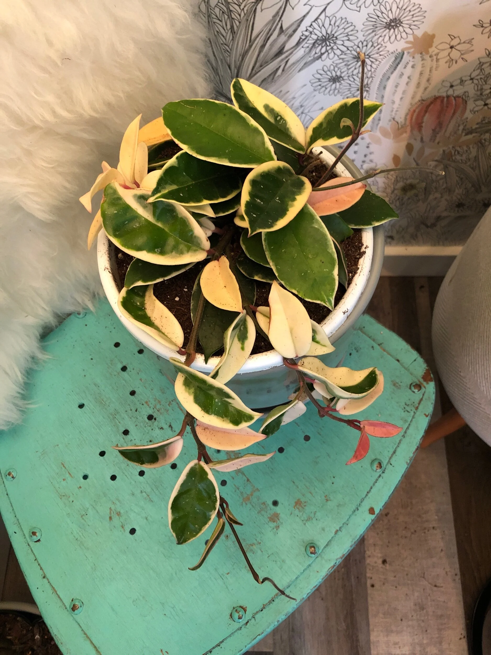 0998F625-7E9A-4083-8930-6D0C20FEDA31