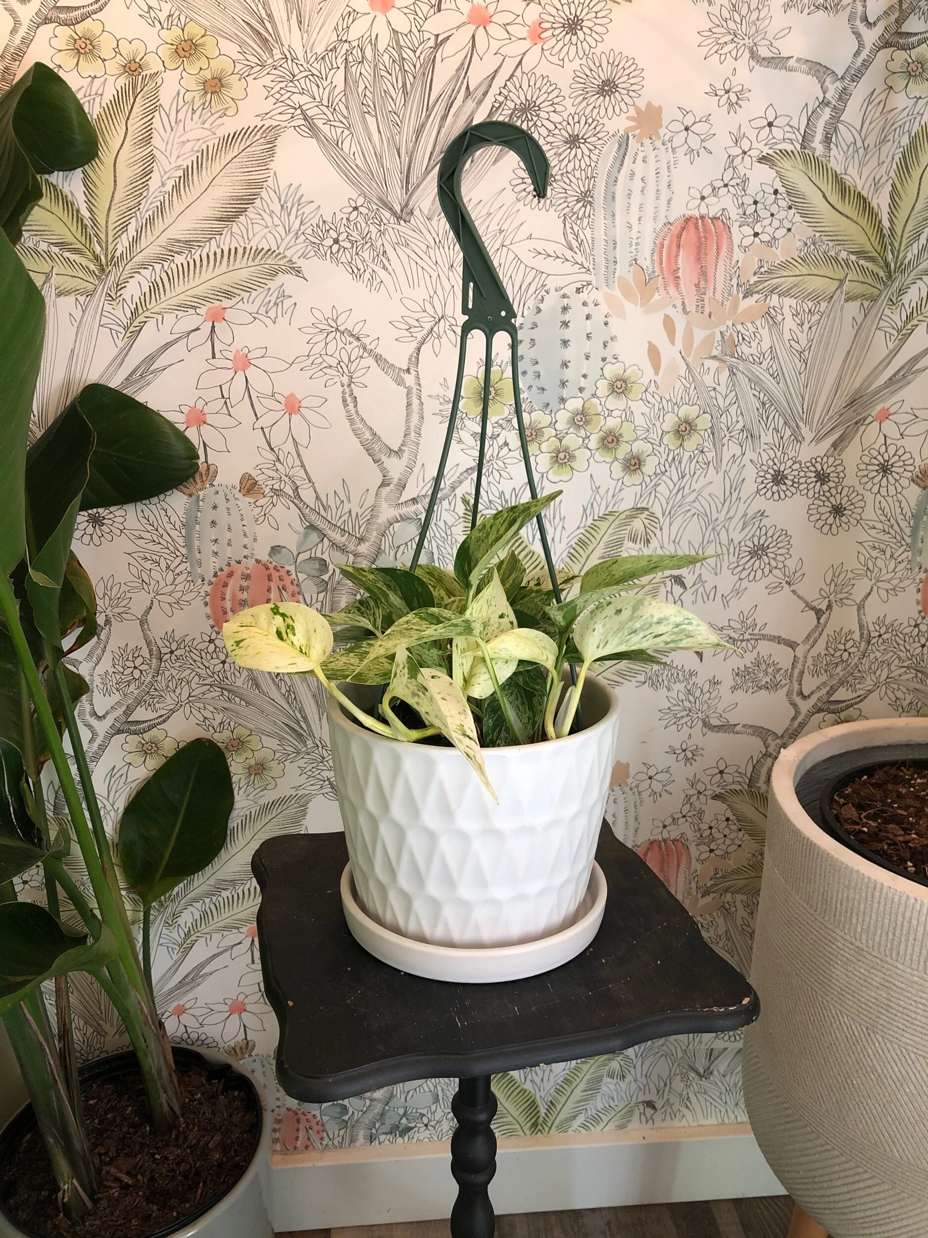 5F26A8A0-E2CB-499A-AD1F-FAA5D06D0DCD