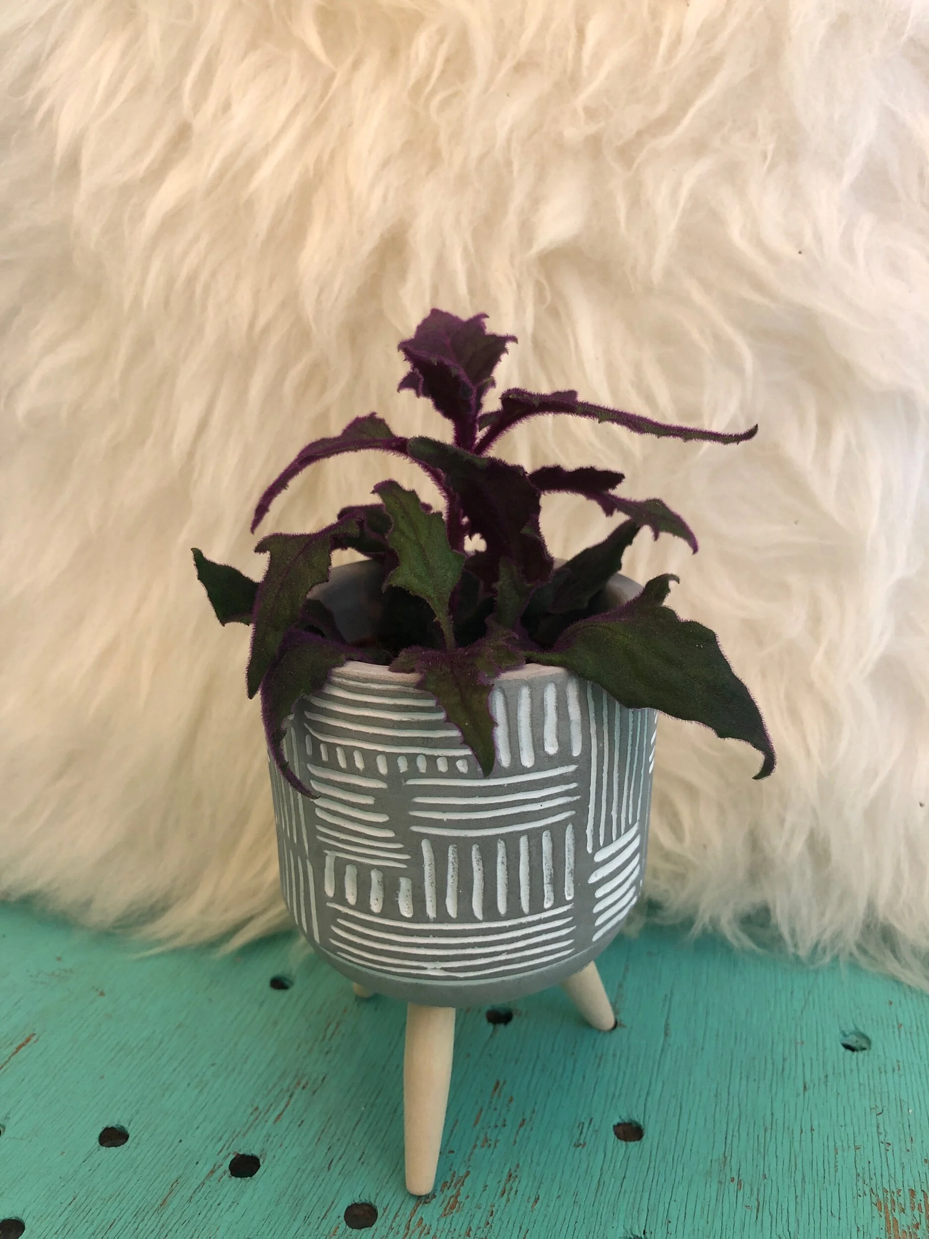 A368F2A2-BA96-4A85-919C-186110A133CE