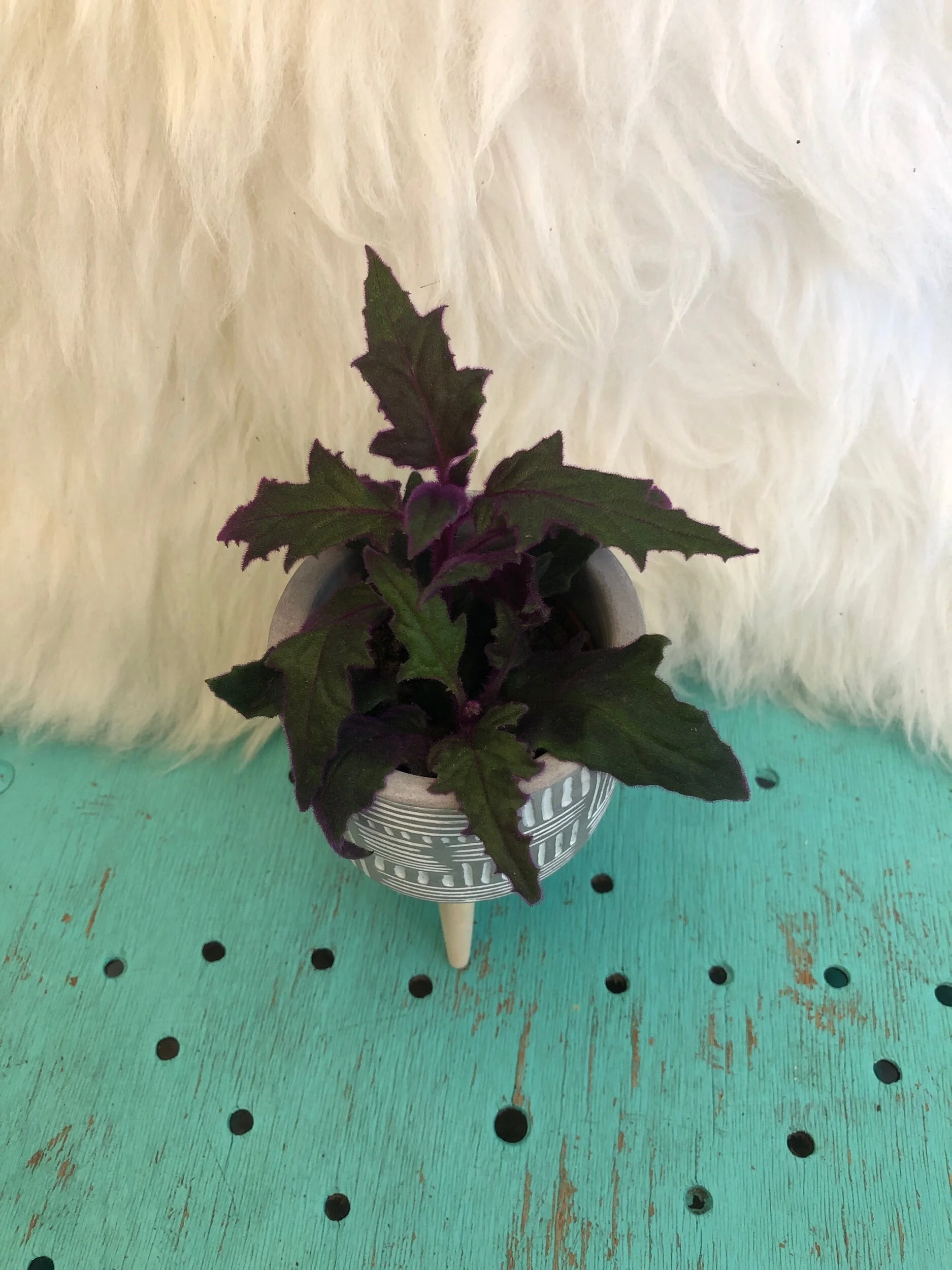 0D46A14F-1AF4-4477-920A-029F9EDB601F