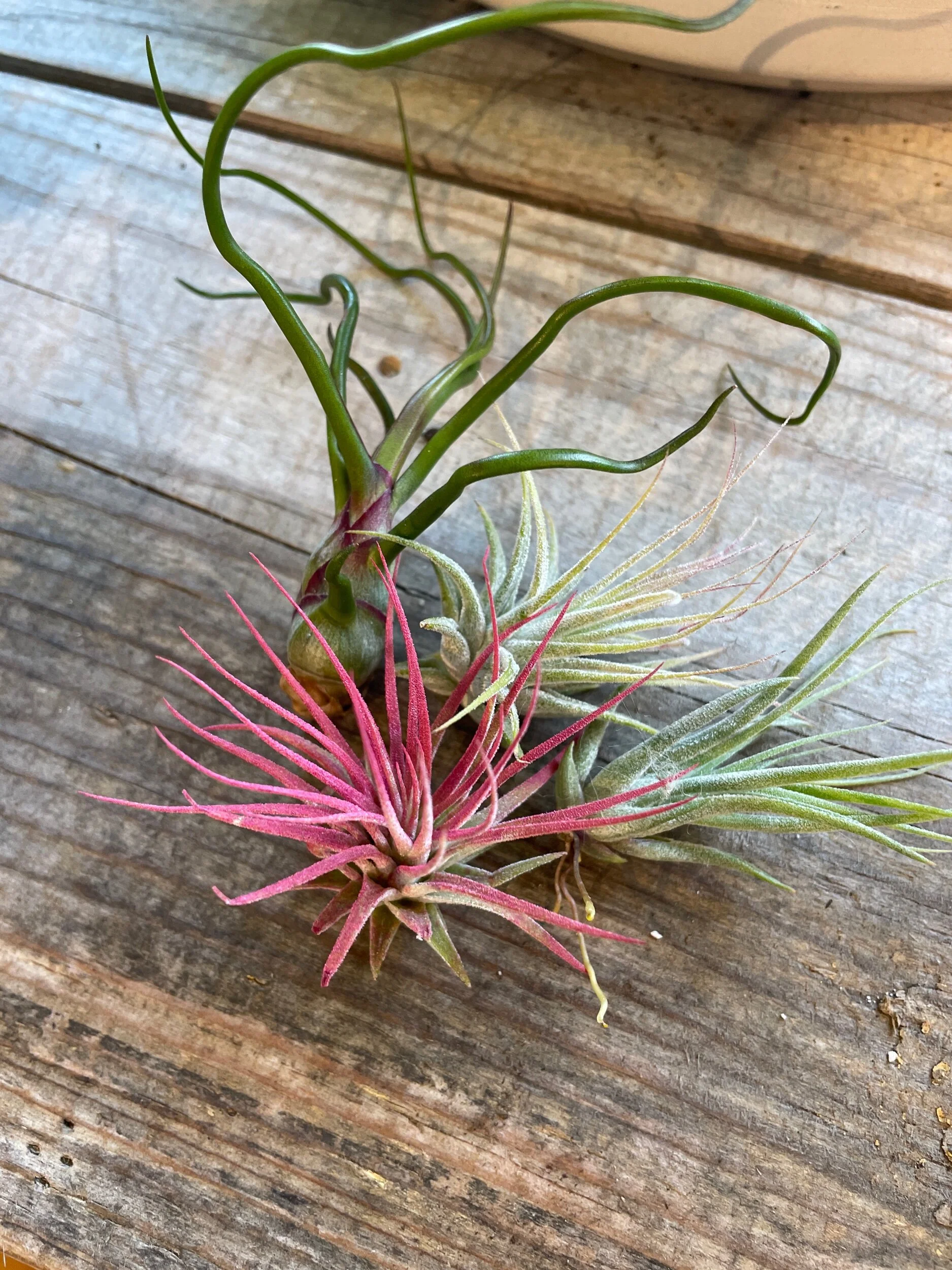 512E1C3B-1F6B-4242-9790-6D550A53B9AA