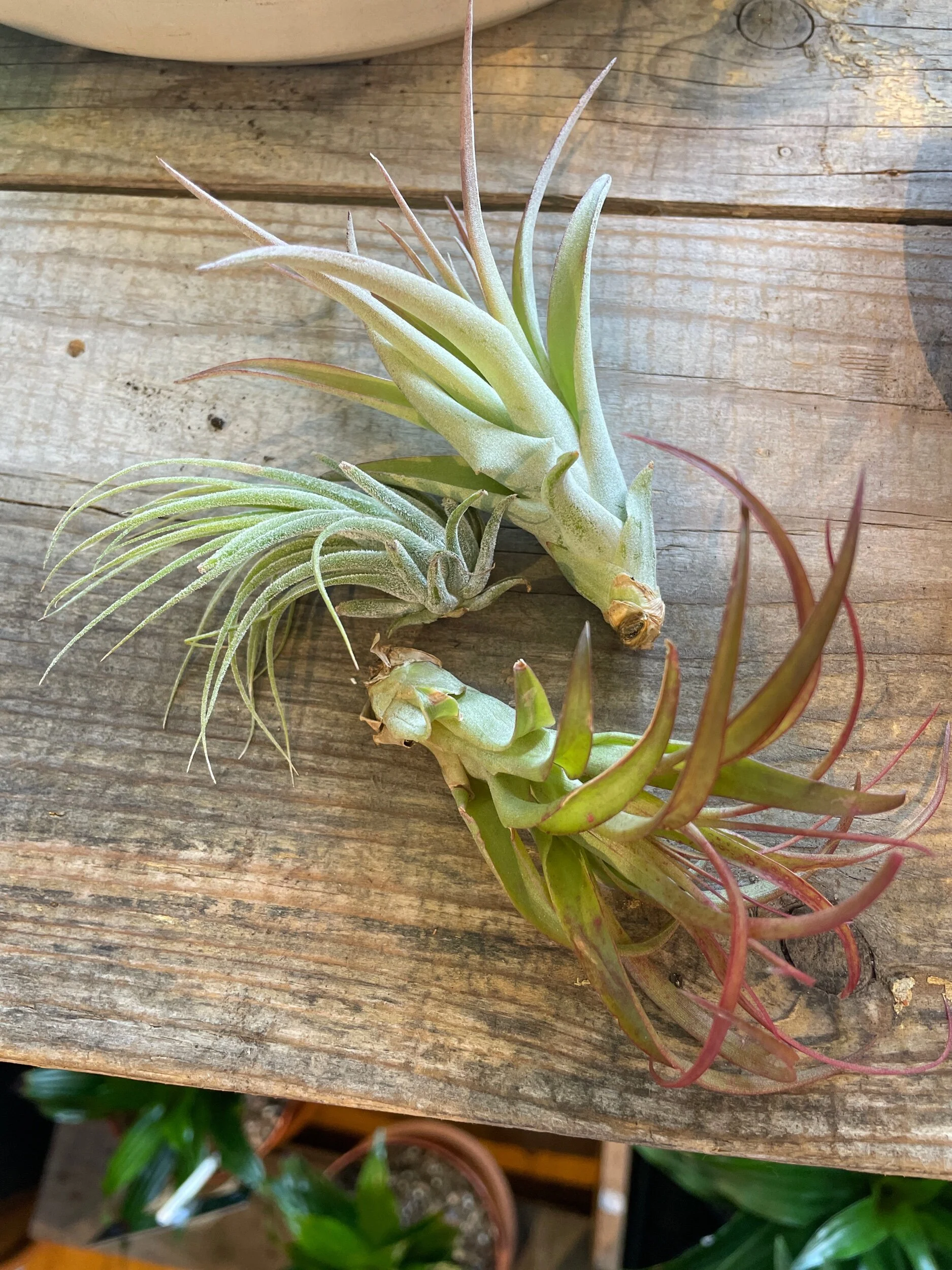 5B51CC2F-AF3B-4D45-8C01-85C1A9B736B5