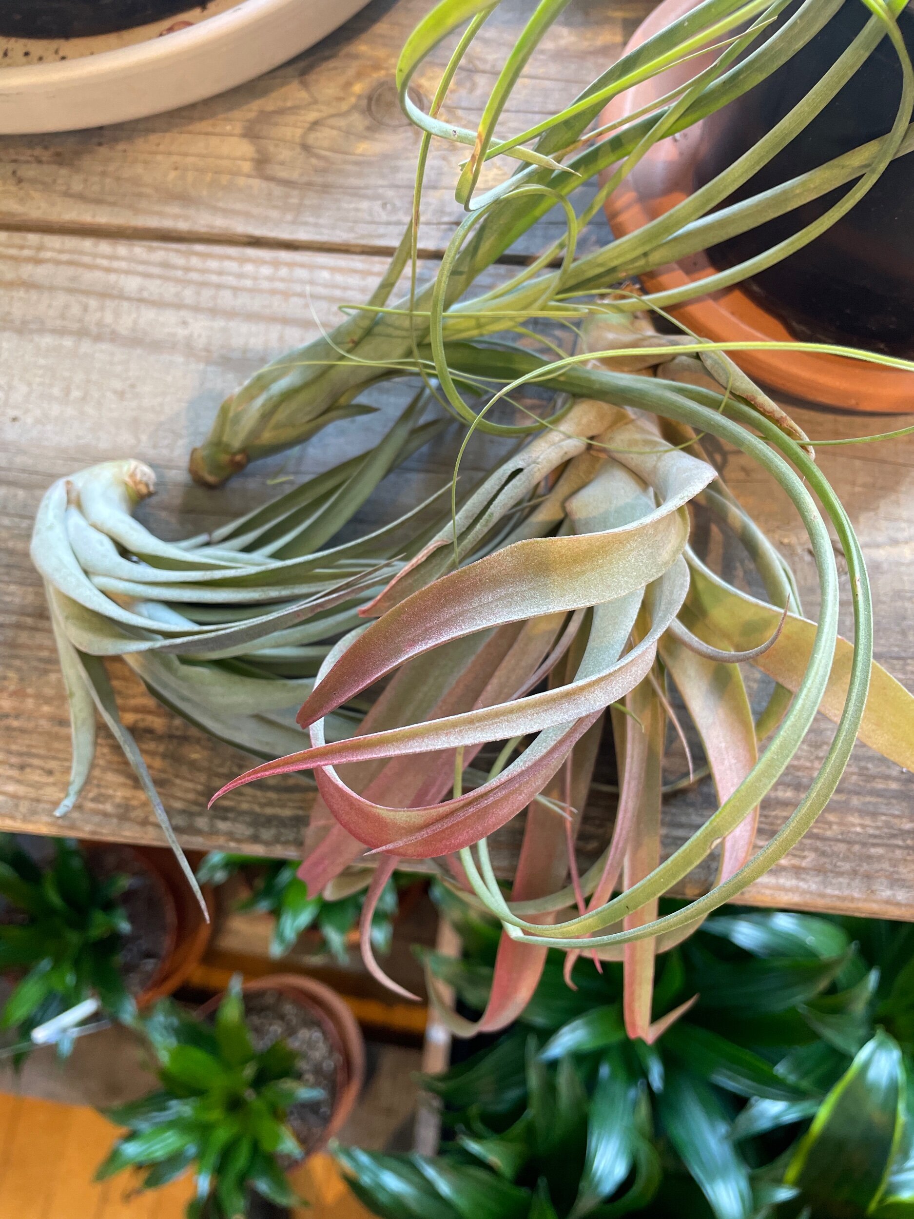 59338325-E29F-4BF9-AE4D-8EDD10767B23