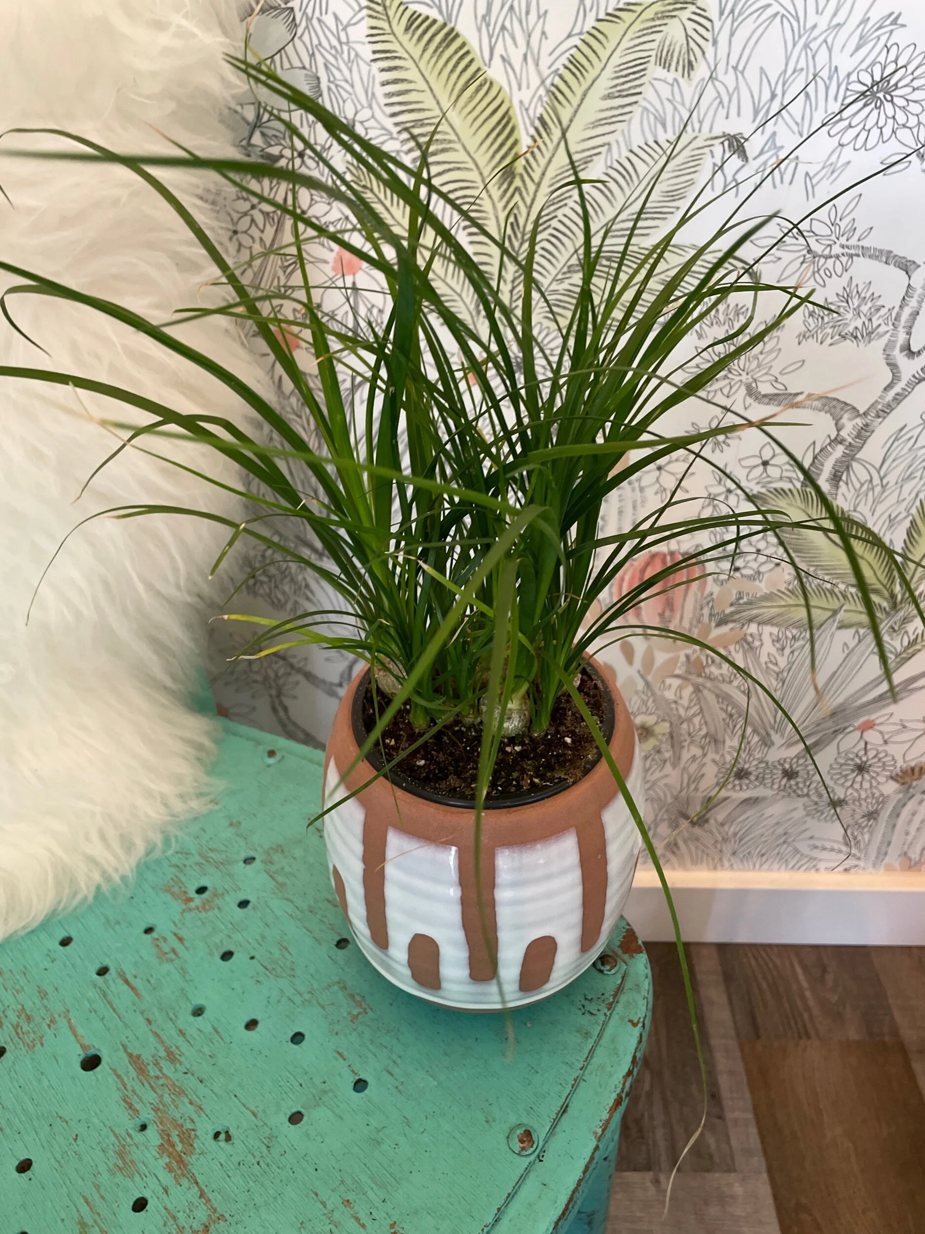 E4FDD641-B2C8-44AF-A766-31F4ED70B29A