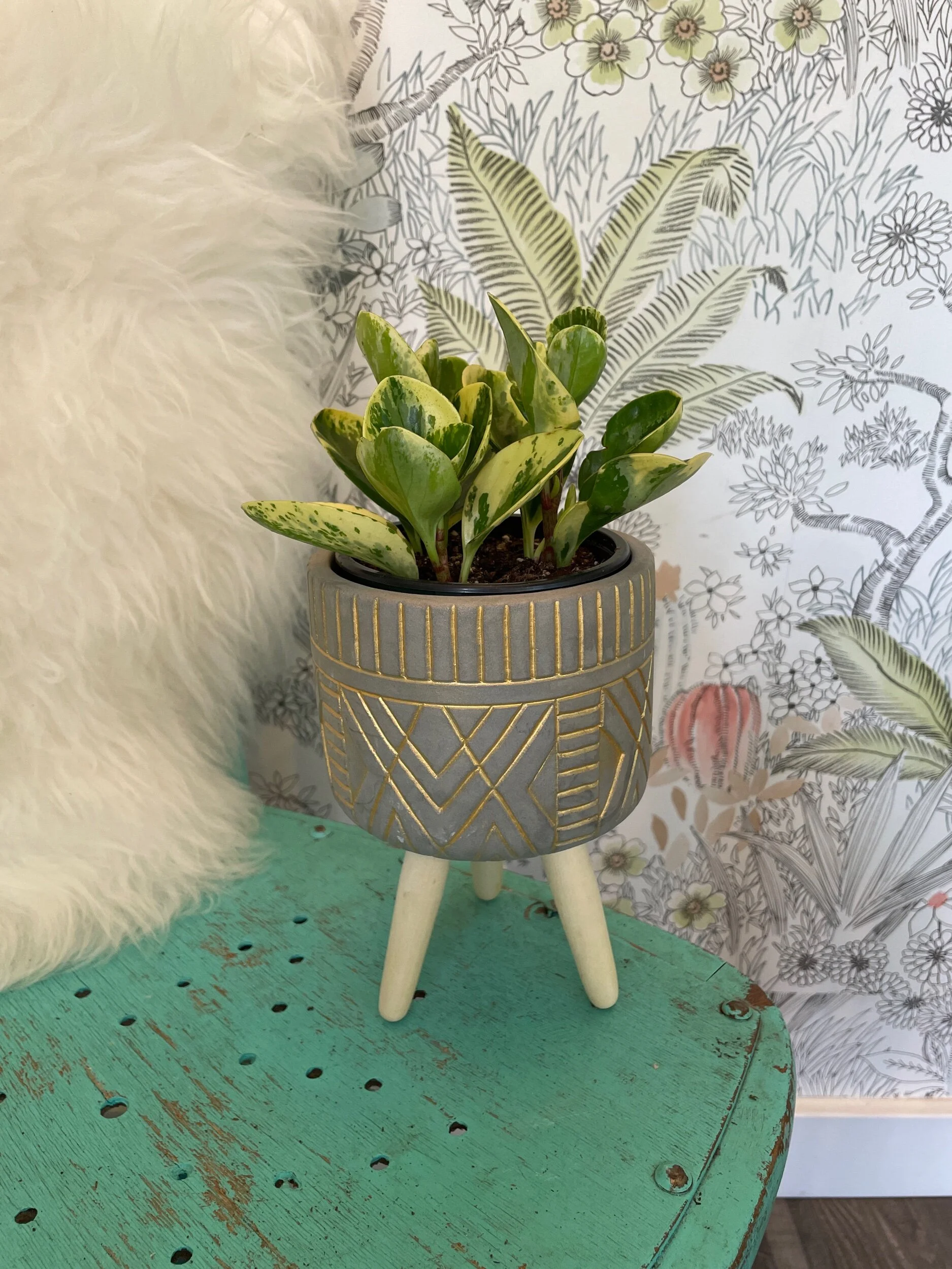 29B10A5F-DE46-4668-97AF-1C8FFFF08B23