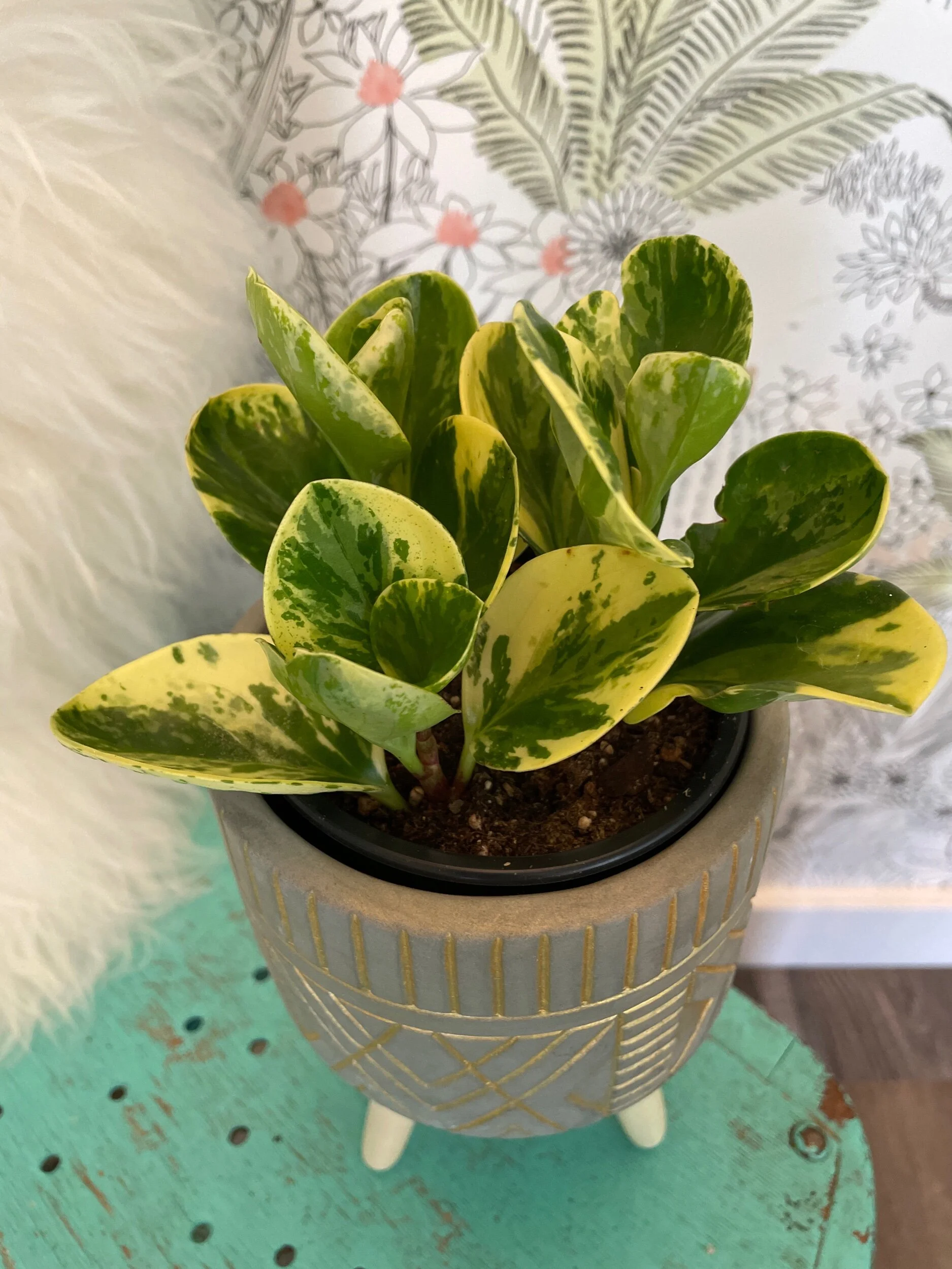 BE41DFD7-01B7-4128-8912-525EBB5DDB38