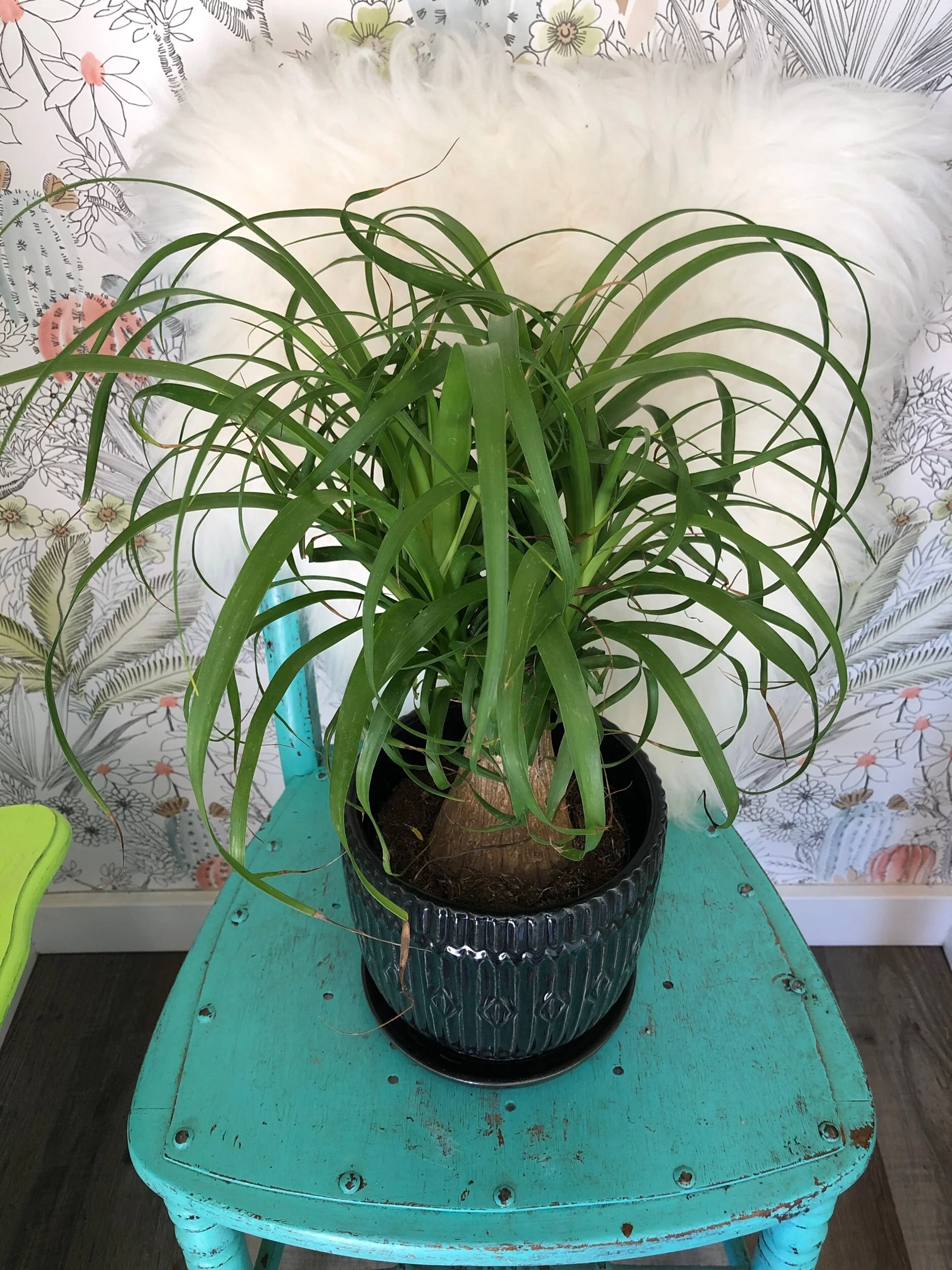 B1B86B99-227A-472A-88CD-C5A4F3125C4C