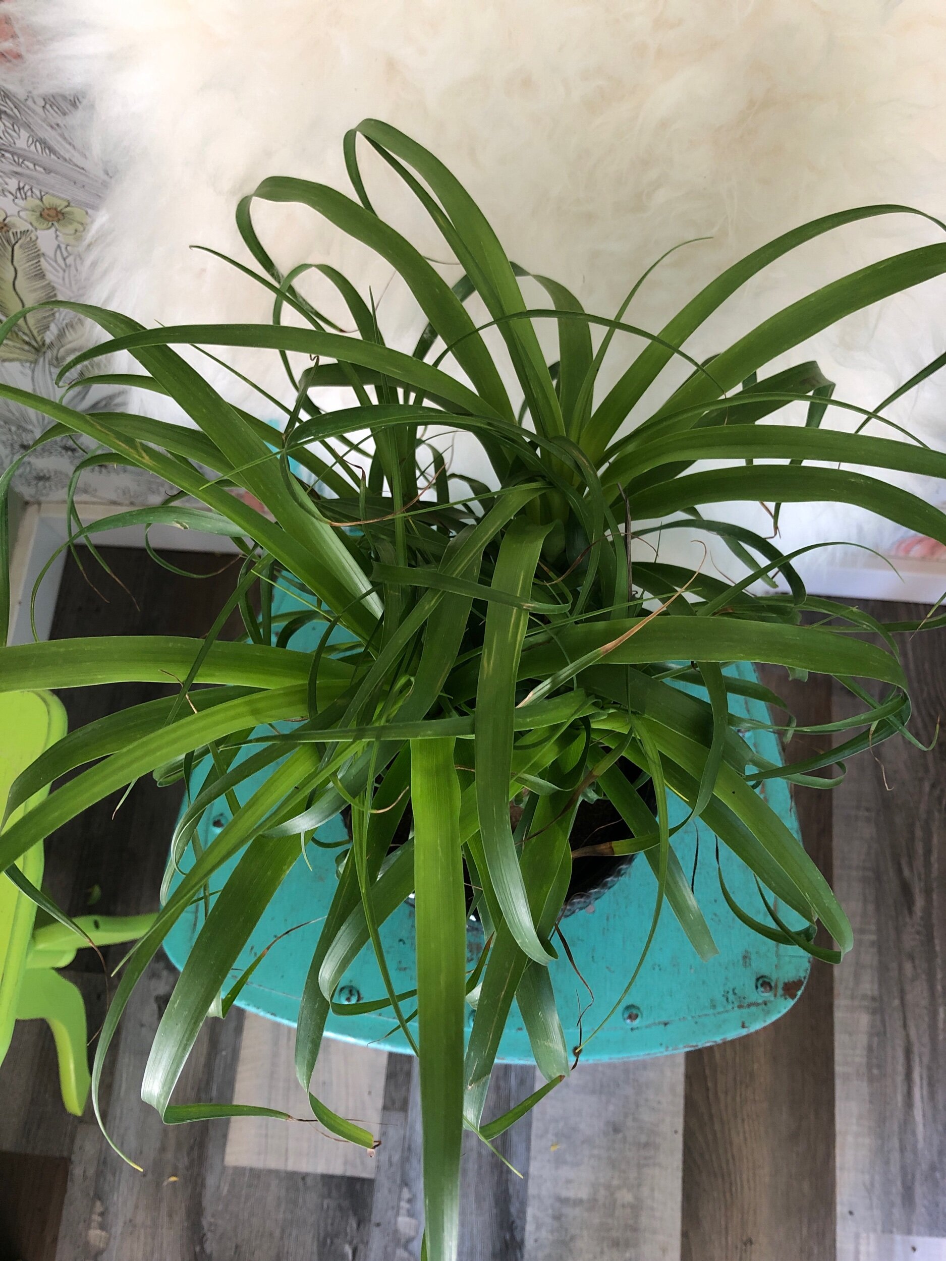 B78A49AA-FB65-4C0F-85DF-07C76D8A26F7